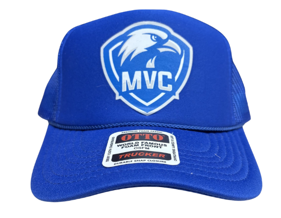 blue hat.png
