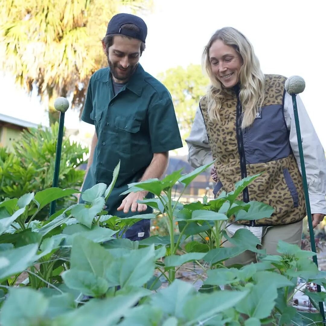 We wanted to share an amazing project started by our WWOOFers (World Wide Opportunities on Organic Farms), Leah and Steve. They're visiting us from France for the next few weeks and over the past week have already helped with so many farm projects! T