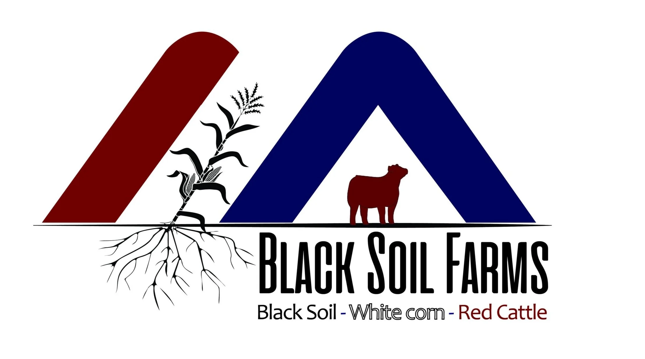 Black Soil Farms Logo