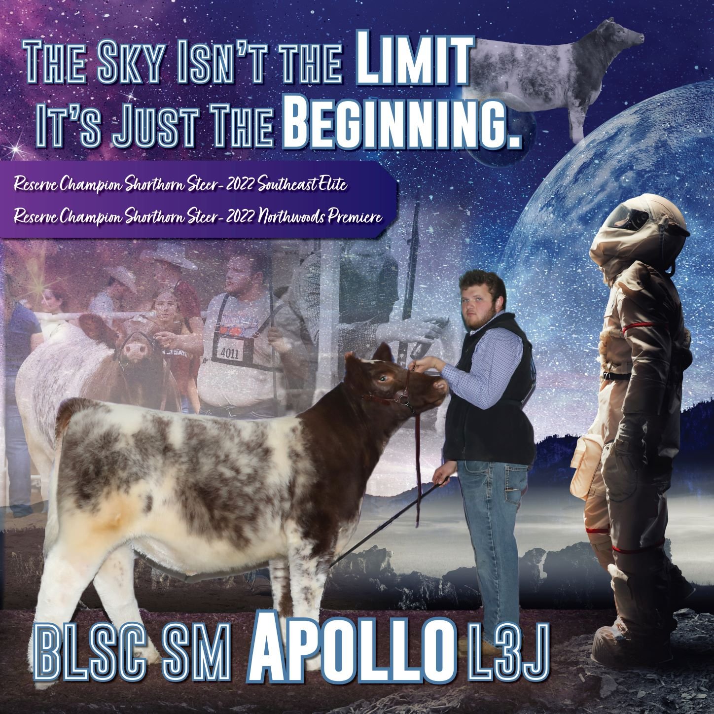 Apollo Year End RS.jpg