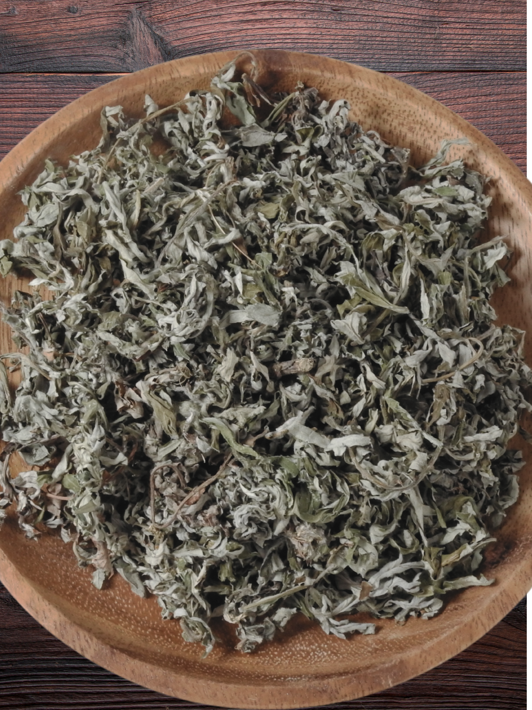 Mugwort