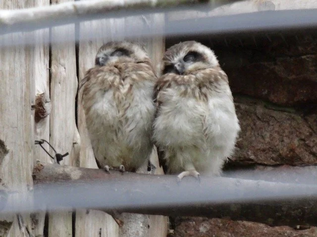 The February Playlist