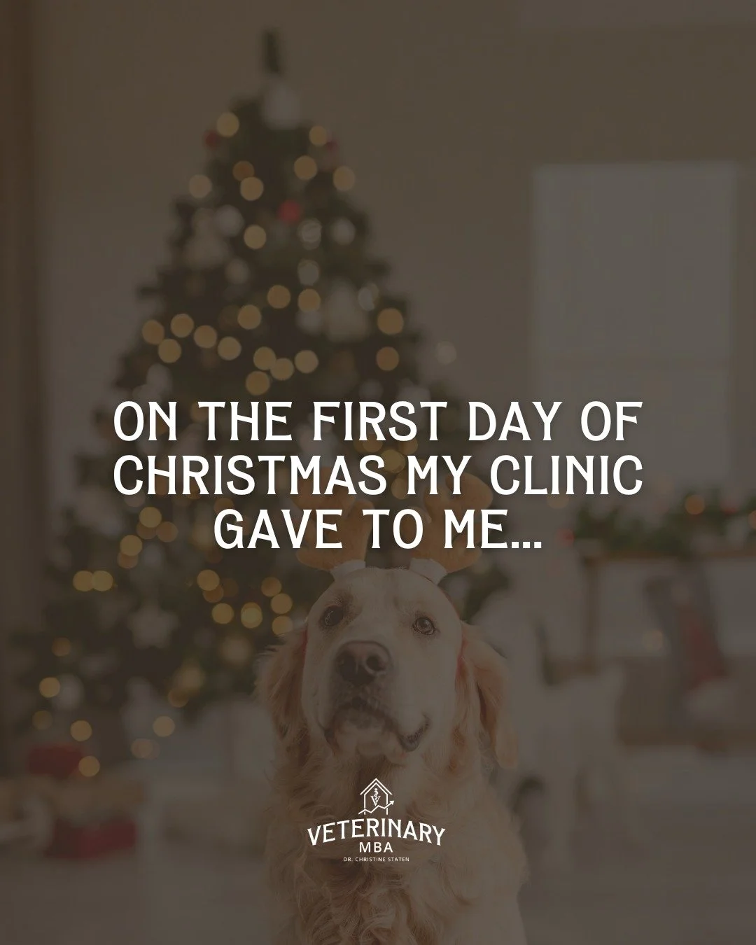 It&rsquo;s that magical time of year again&hellip;

When the clinics smell like gingerbread and chlorhexidine, the schedule&rsquo;s double-booked, and someone&rsquo;s dog just ate an entire Christmas ornament. 🎄🐾

Between the last-minute emergencie