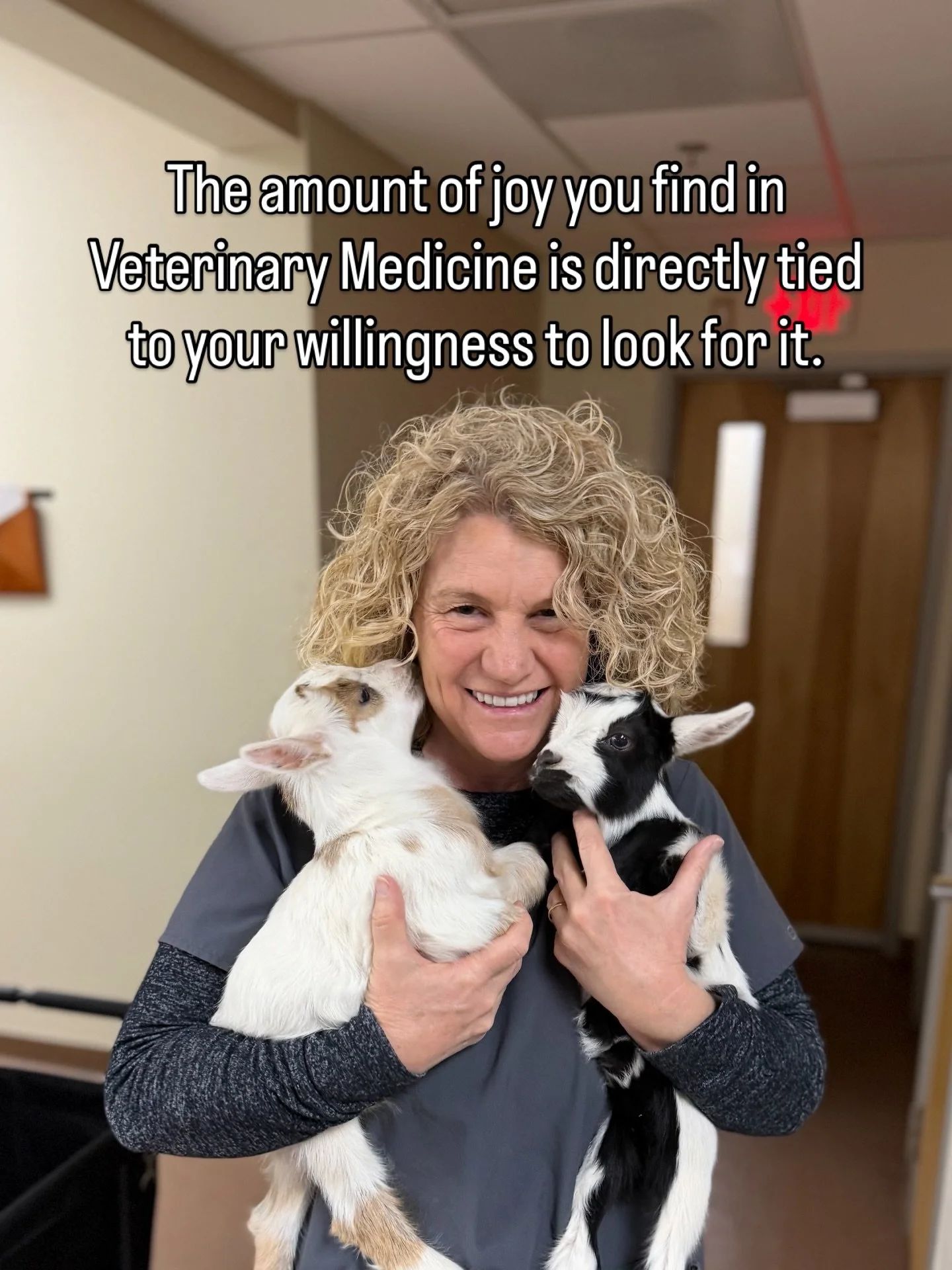 Hot take: Veterinary Medicine is one of the most joy-filled professions on the planet.

And I&rsquo;m a little tired of pretending otherwise.

I&rsquo;m holding two baby goats before most people have had their coffee. 

This is my job.

Yes, it&rsquo