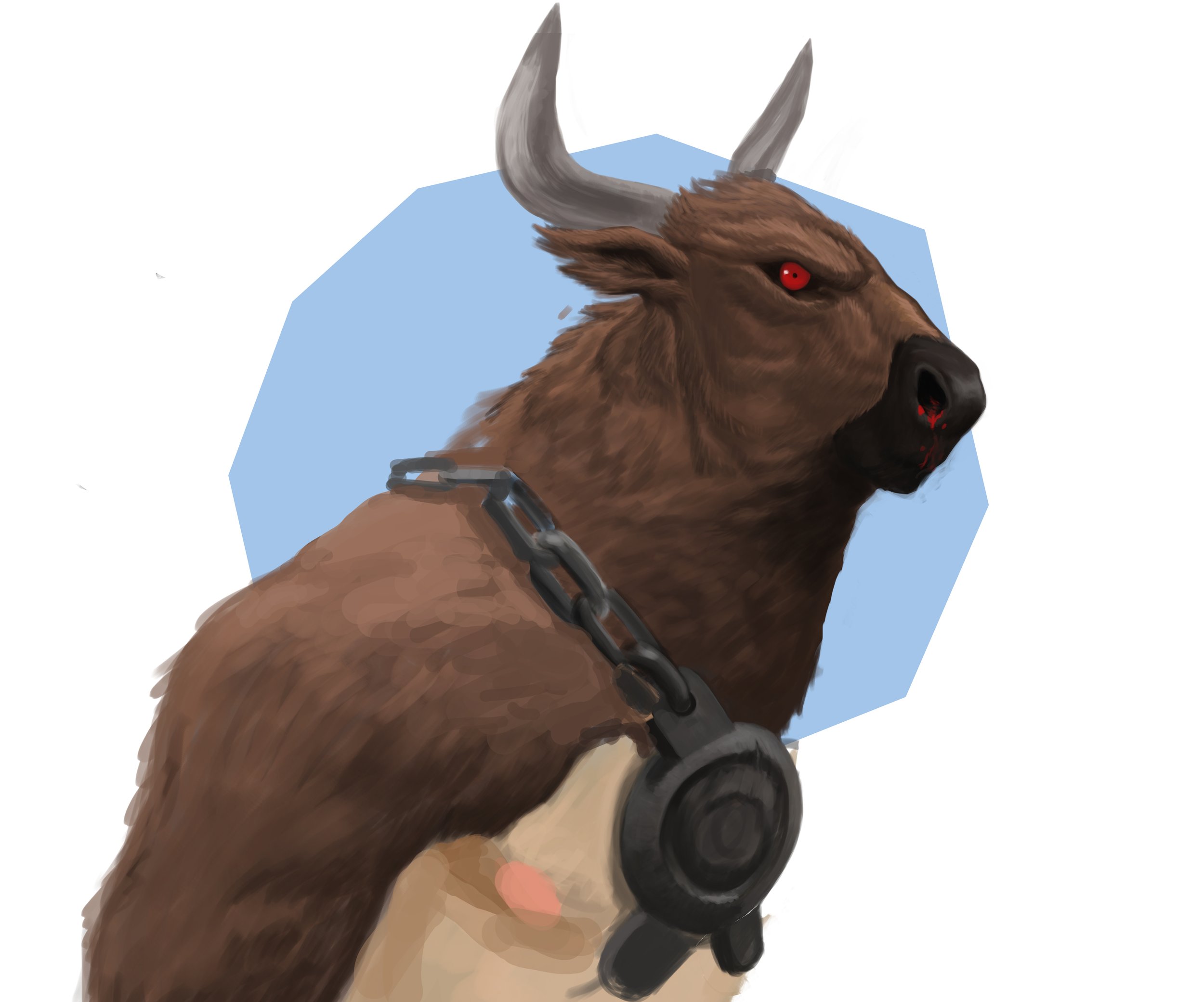 bull.jpg