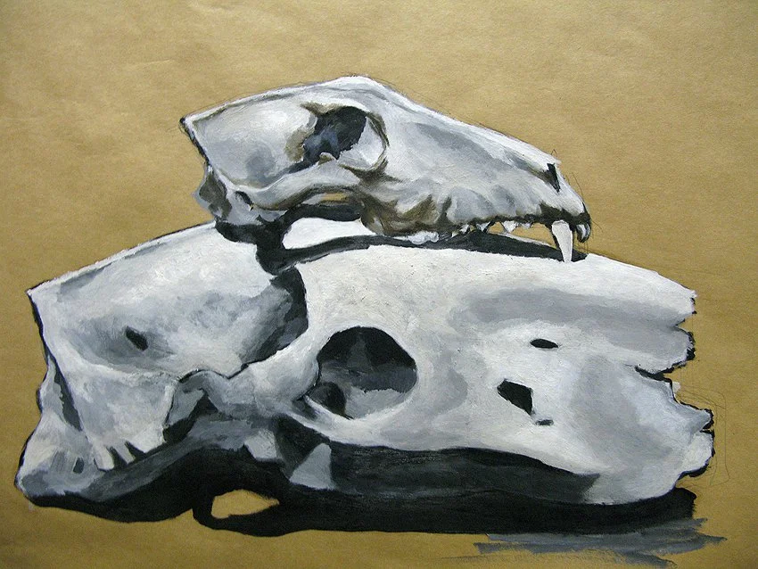 animalskullpaintsketch.jpg