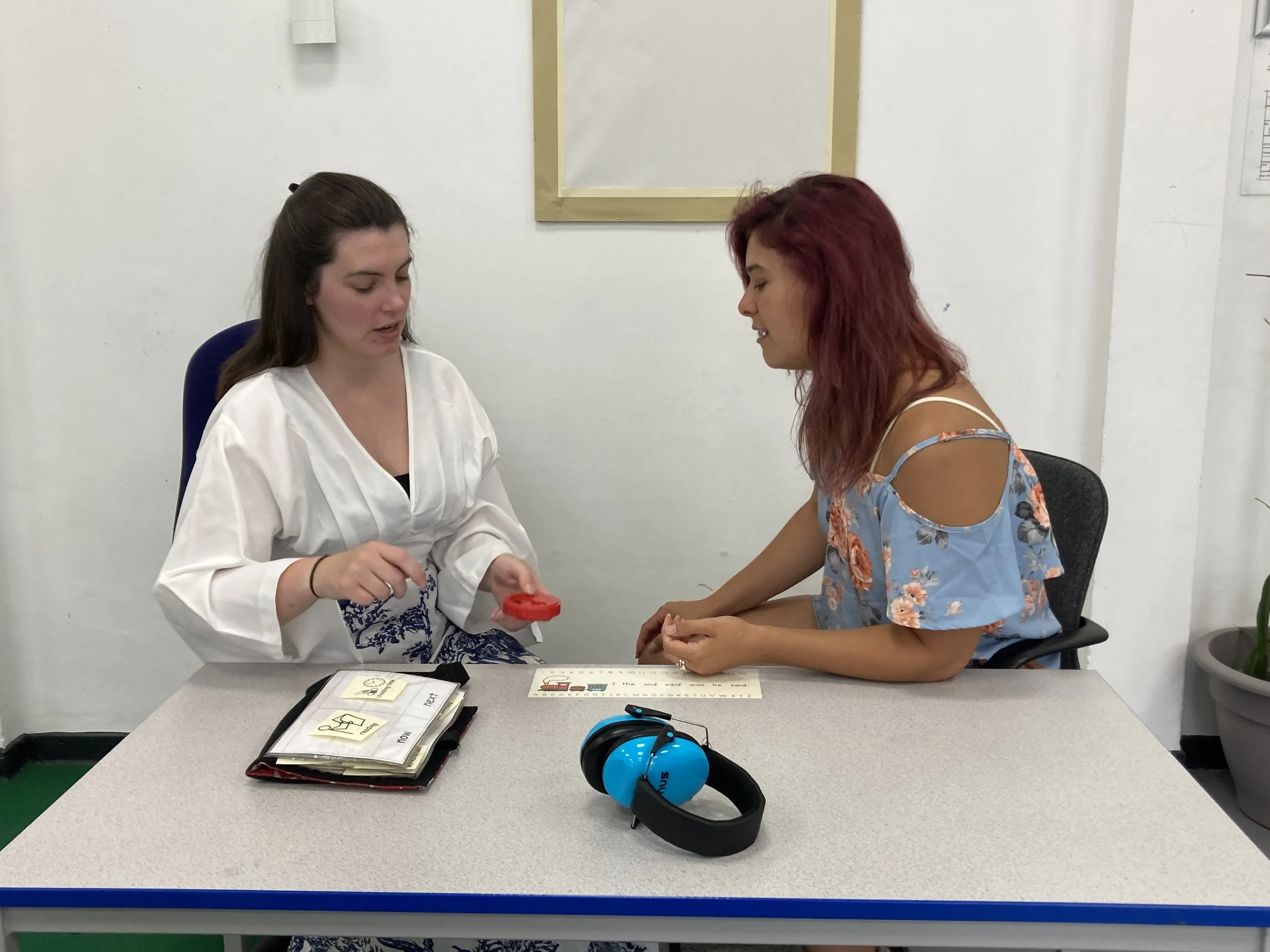 Training for alternative provision in primary schools by a special needs consultant.
