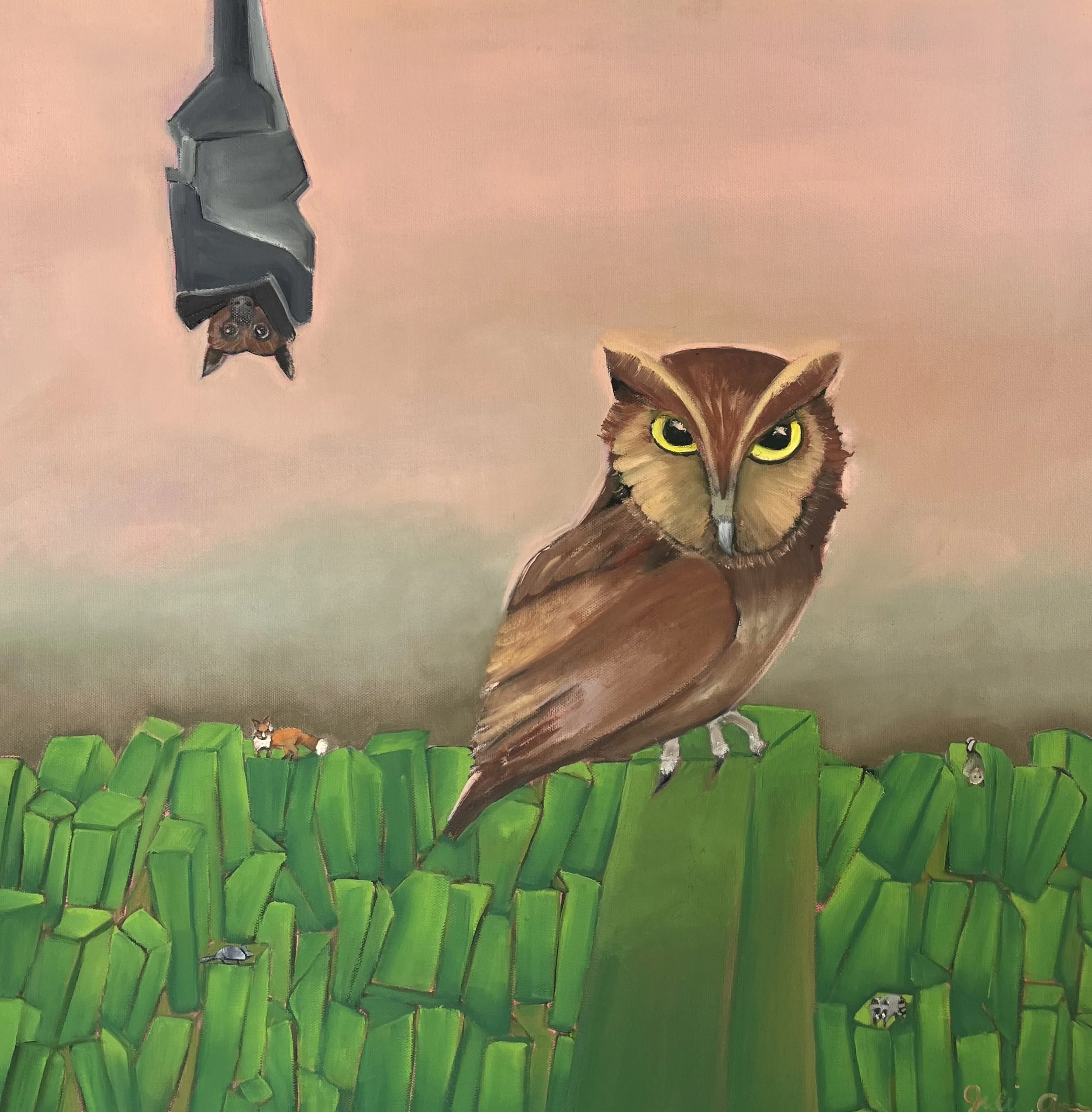 Owl and Bat