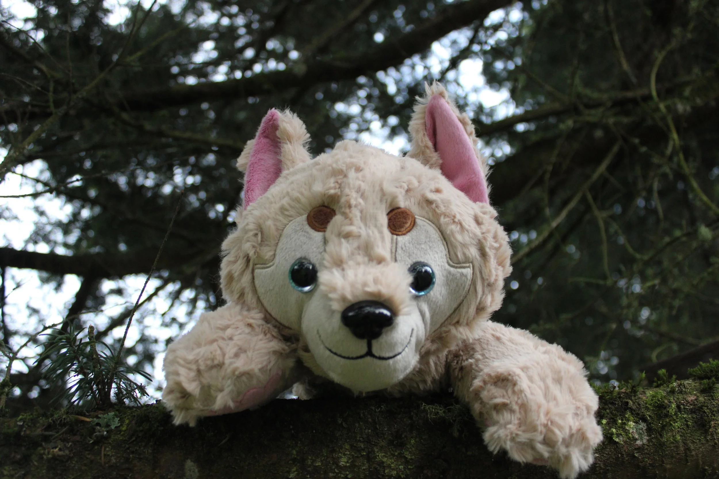 Watson the Werewolf for Rory