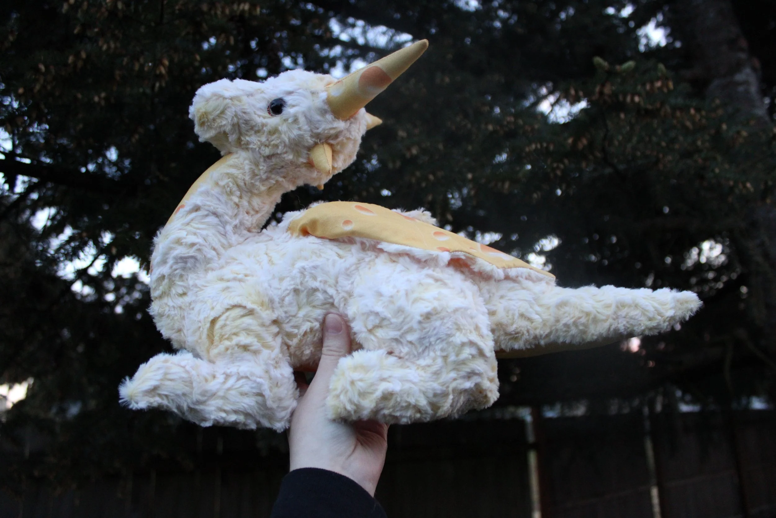 Swiss the Dragon for Jeiden