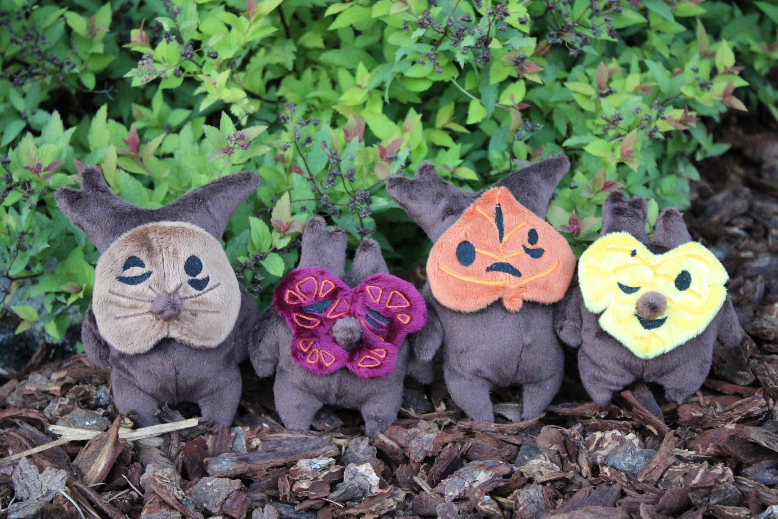 Autumnal Koroks for David