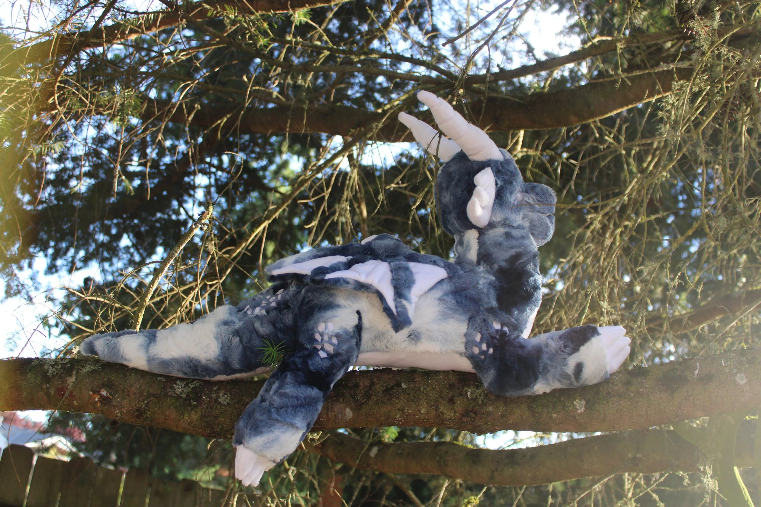 Tianyi the Fine China Dragon