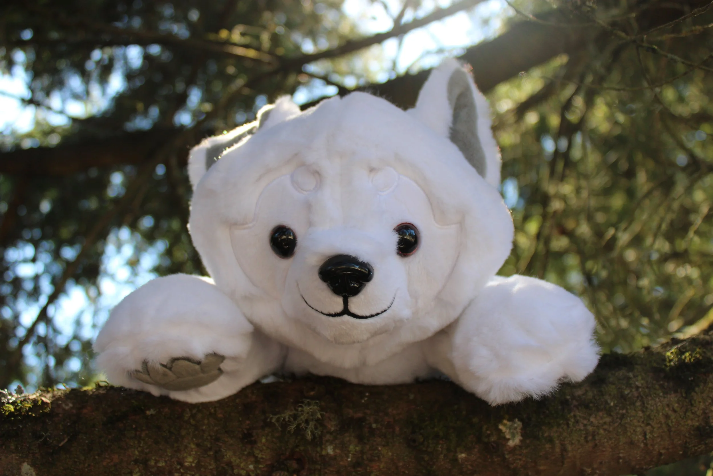 Ghost the Werewolf for Melyssa & Justin