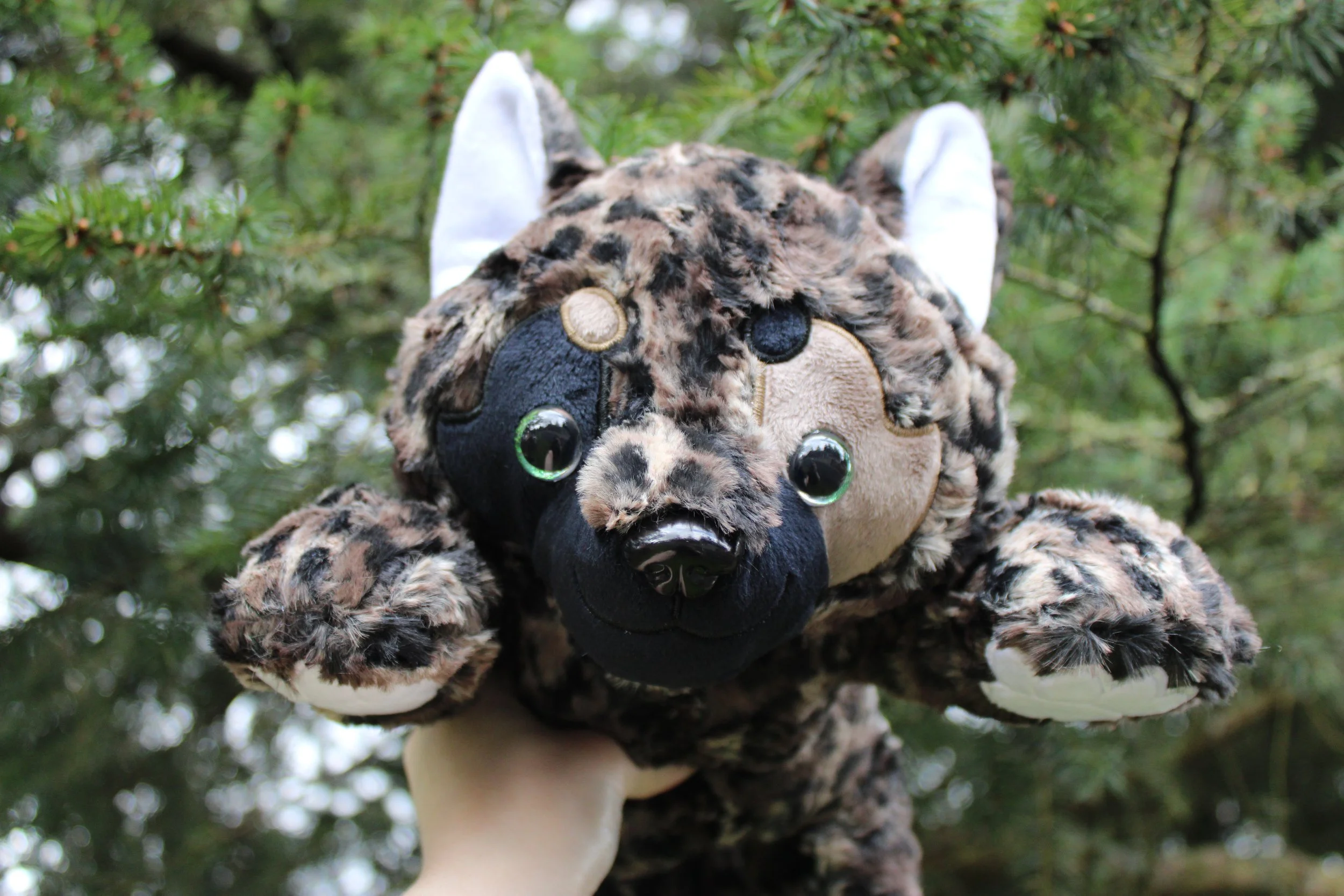 Bobcat Werewolf for Nicolle