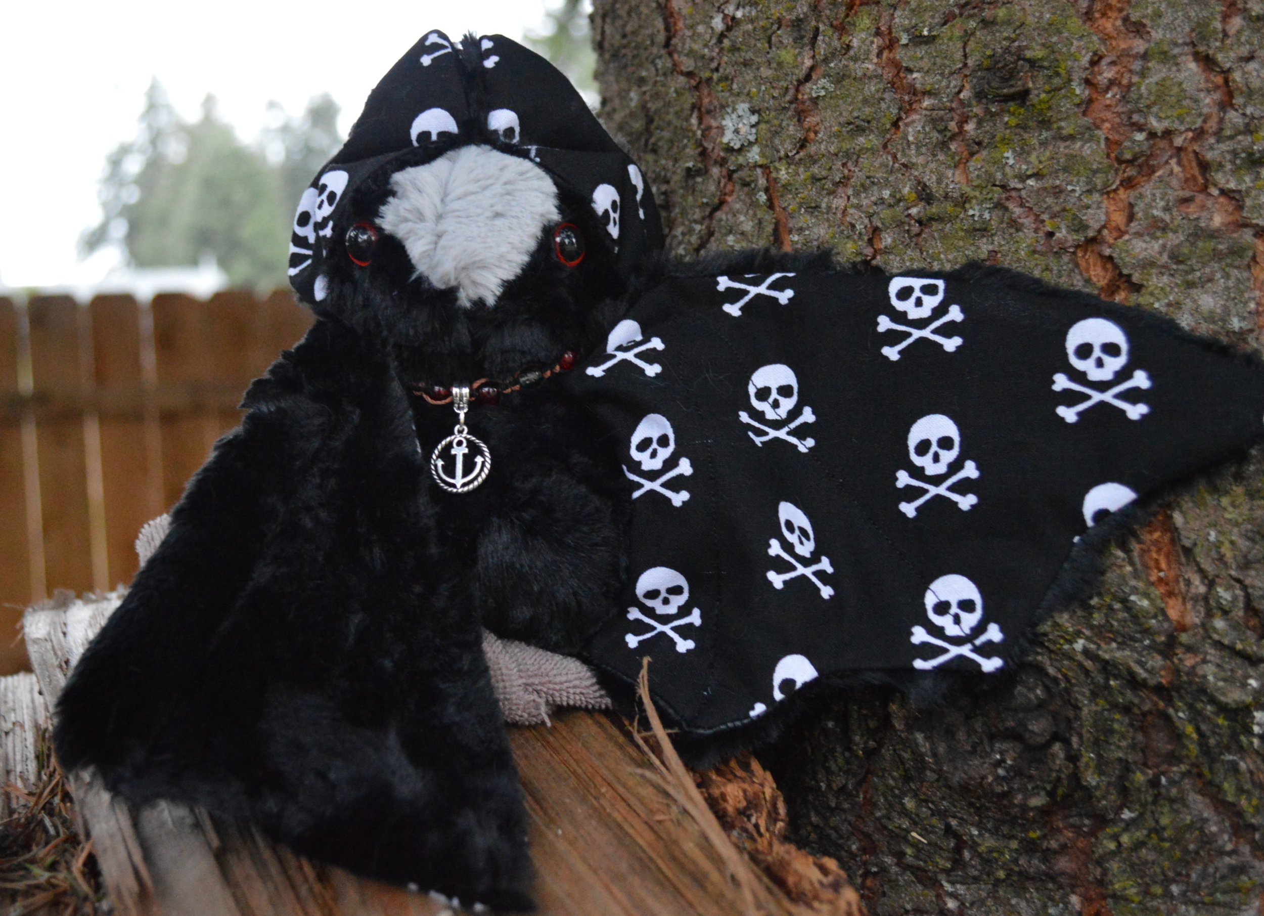 Pirate Bat for a First Mate