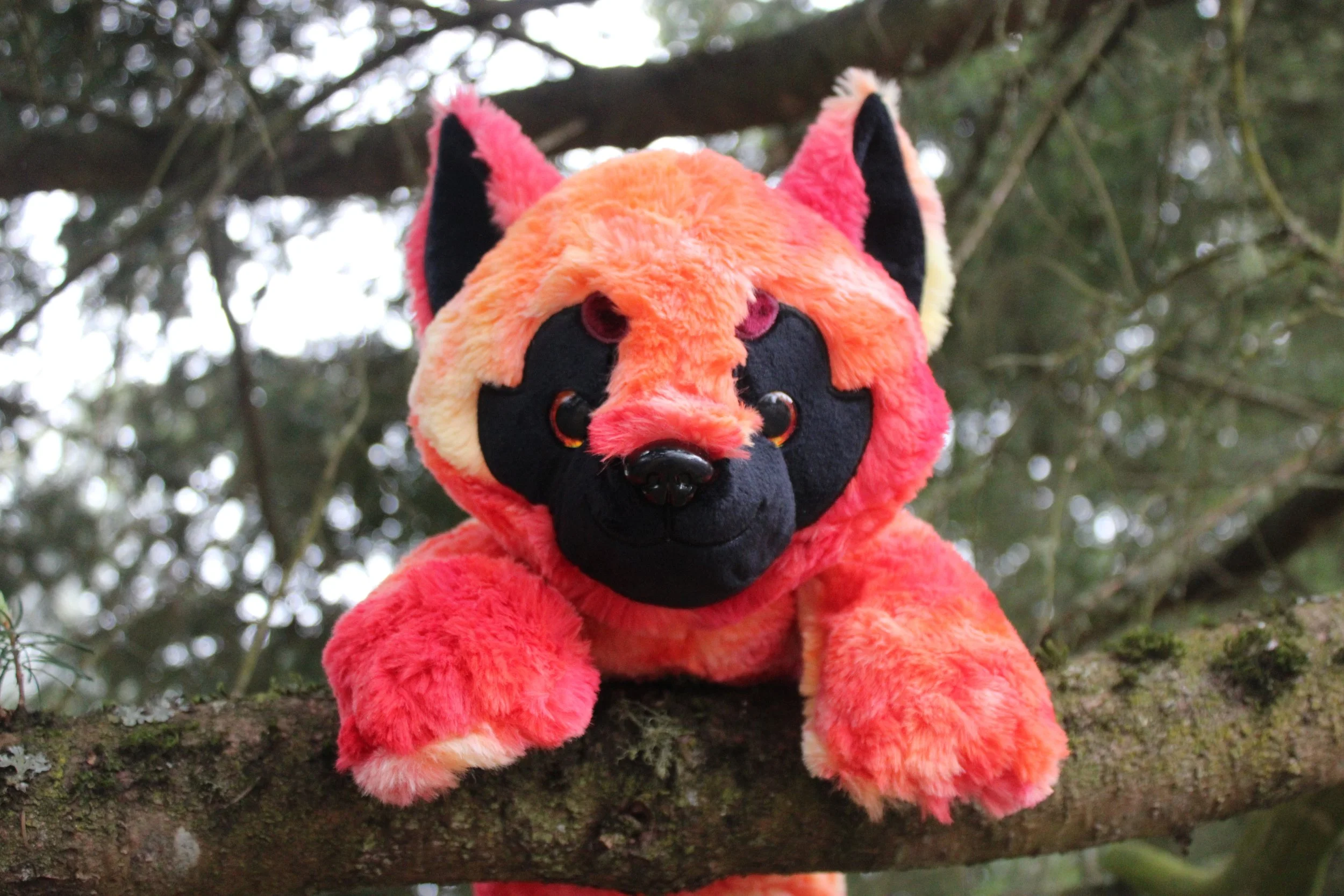 Paladin the Werewolf for myself 