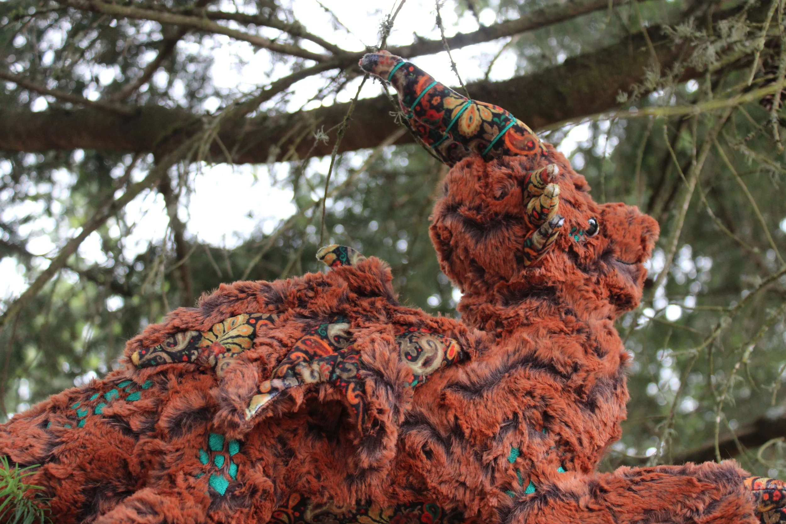 Percival the Dapper Dragon