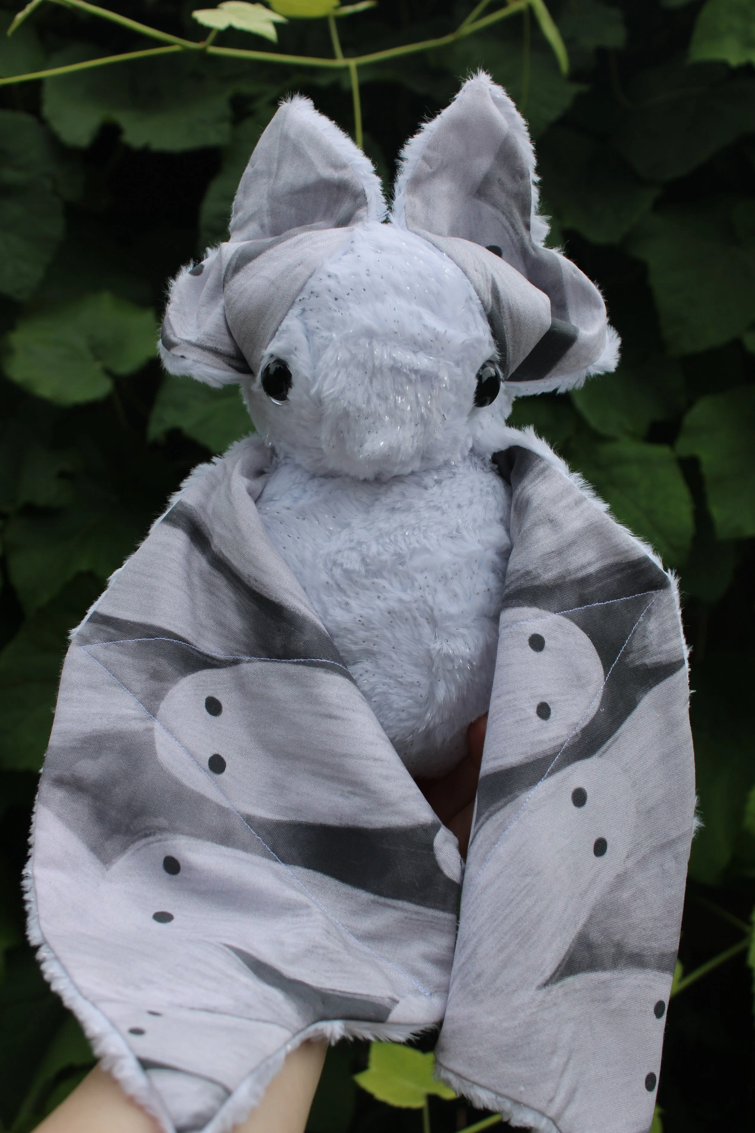 Lockwood, the Ghost Bat