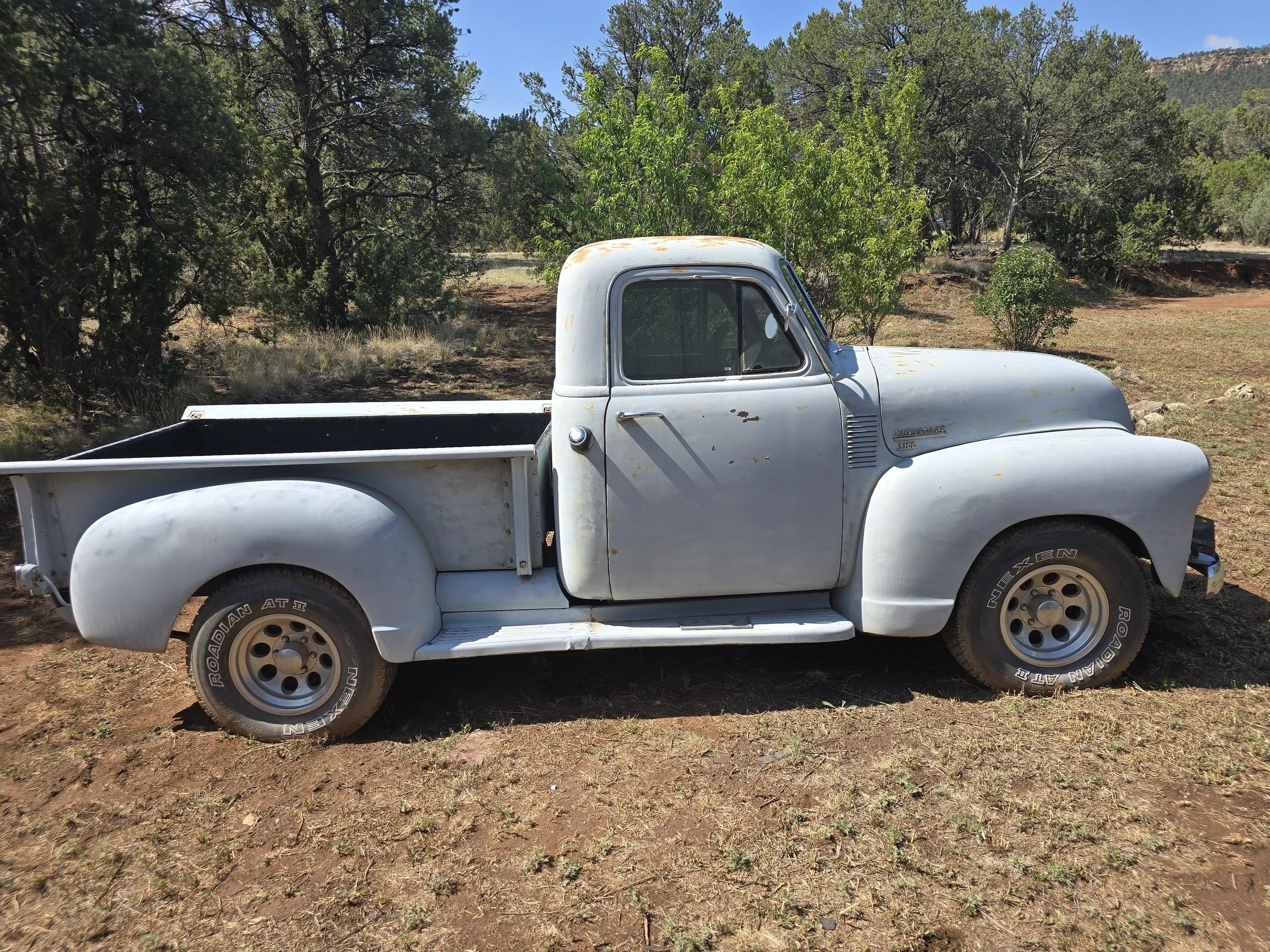 1950 Chevrolet 3100 pick-up truck. An old white pickup truck parked on a dirt patch in a forested area with green trees and a blue sky in the background.