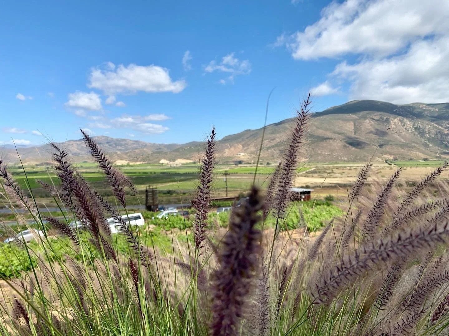 November&rsquo;s giving main character skin 💚 and I&rsquo;m bringing back the best deals of the year for my Black Friday Stack 👀 

If that second vid was giving &ldquo;blink and you miss it&rdquo; ✨ slow your scroll, gorgeous. Head to the link in m