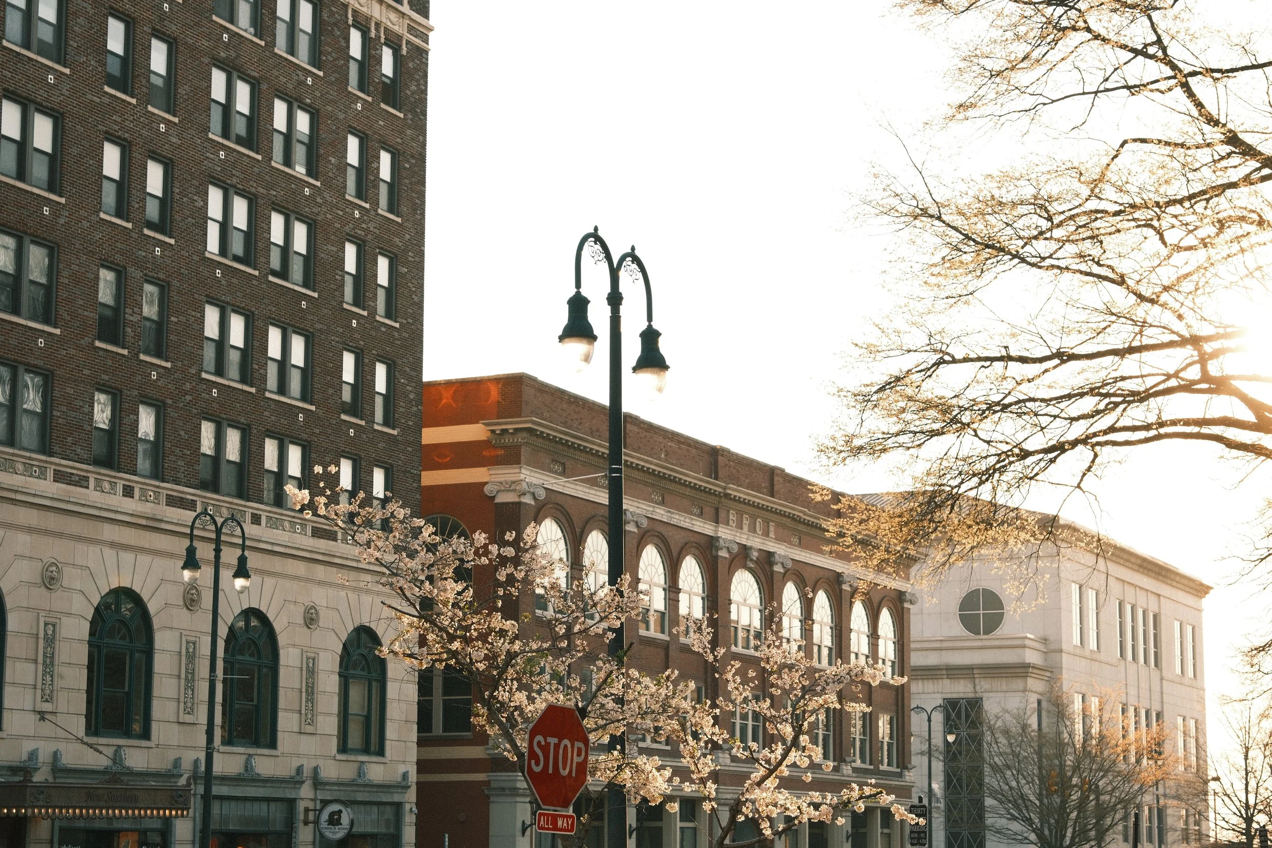 “In Bloom:” Spring Photo Essay