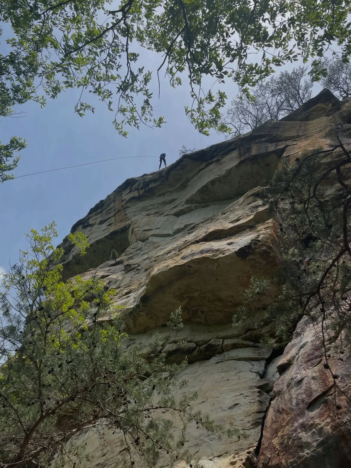 Rappelling not only has some of the best views, but challenges you to step out of your comfort zone!
Are you ready to rappel this summer? 🧗

#alpineministries #alpineadventureswv #rappelling