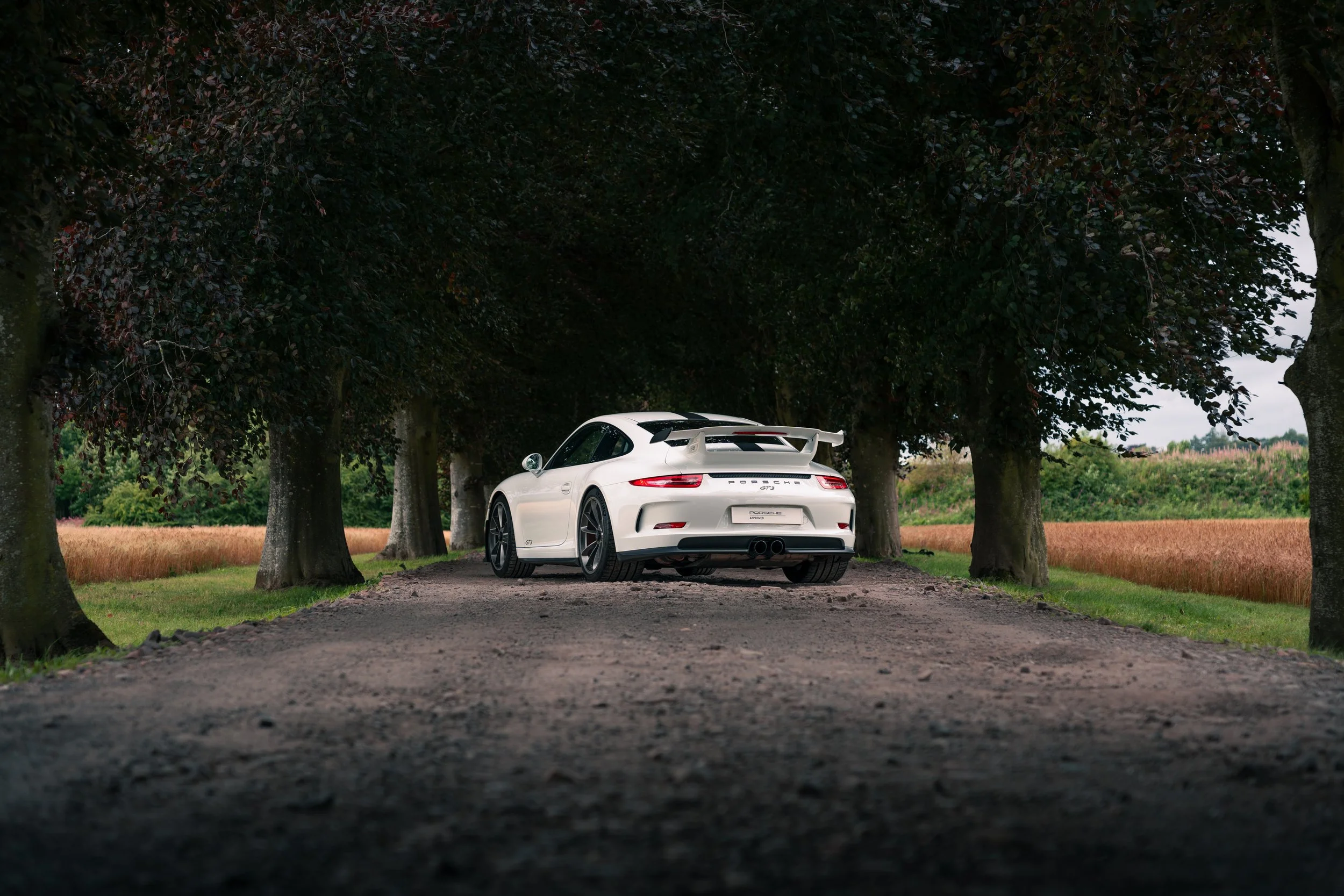 A white sports car, a Porsche 911, parked on a dirt road lined with trees in a rural setting.