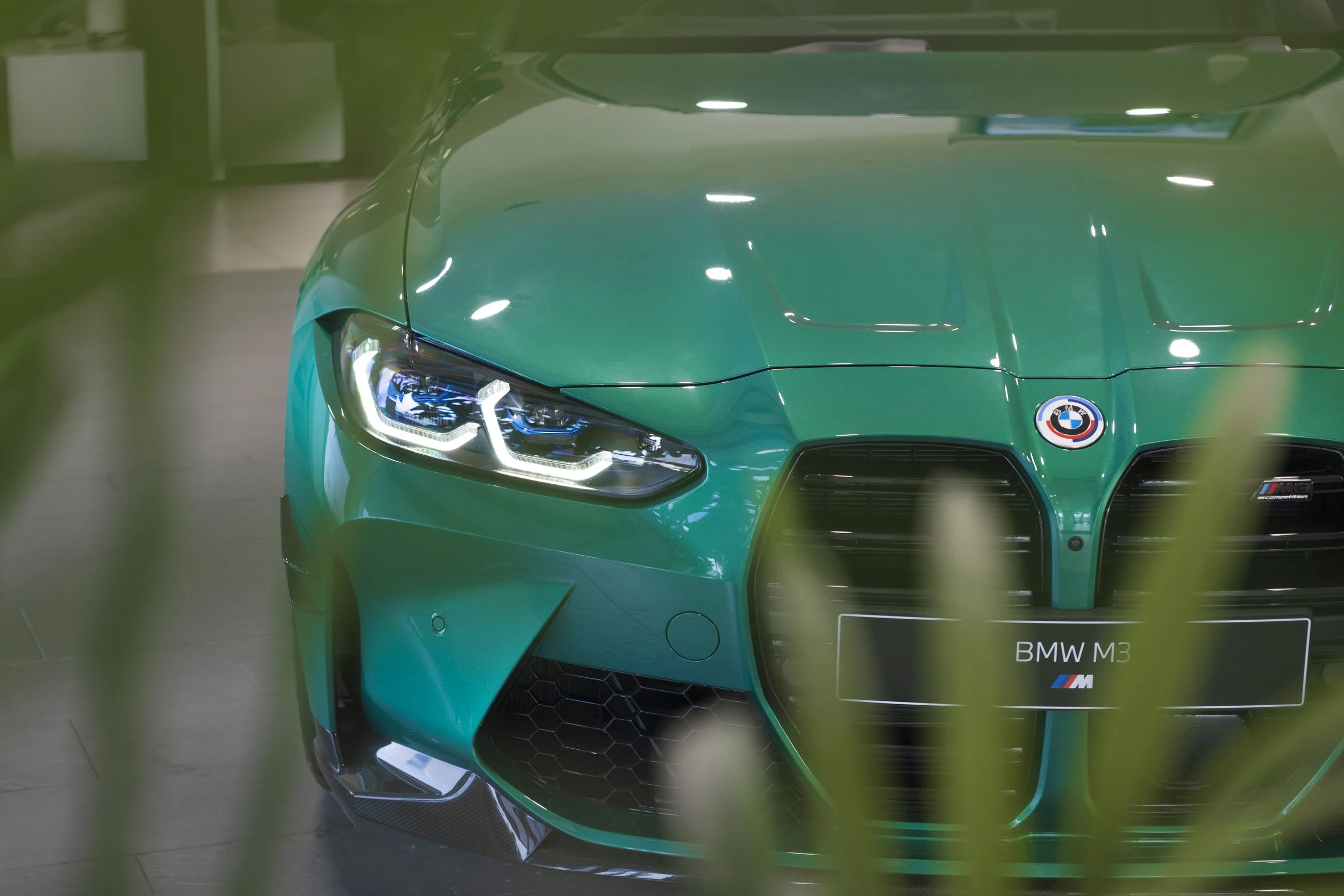 Front view of a green BMW M3 sports car, partially obscured by blurred green leaves in the foreground.