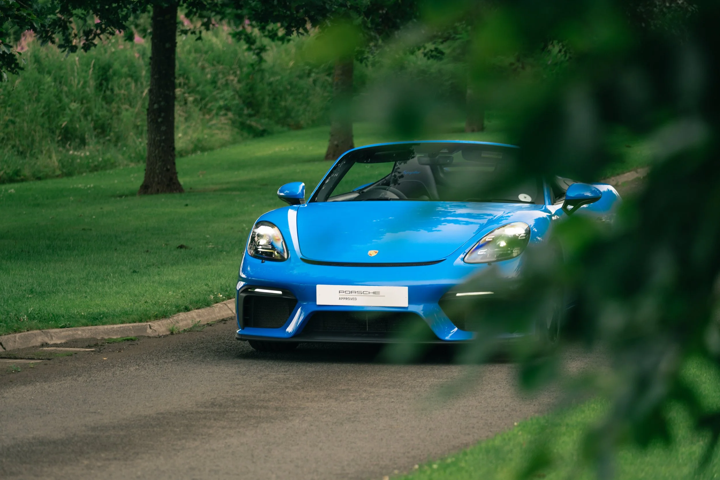 A blue Porsche sports car parked on a paved road, partially obscured by green foliage, with trees and grass in the background.