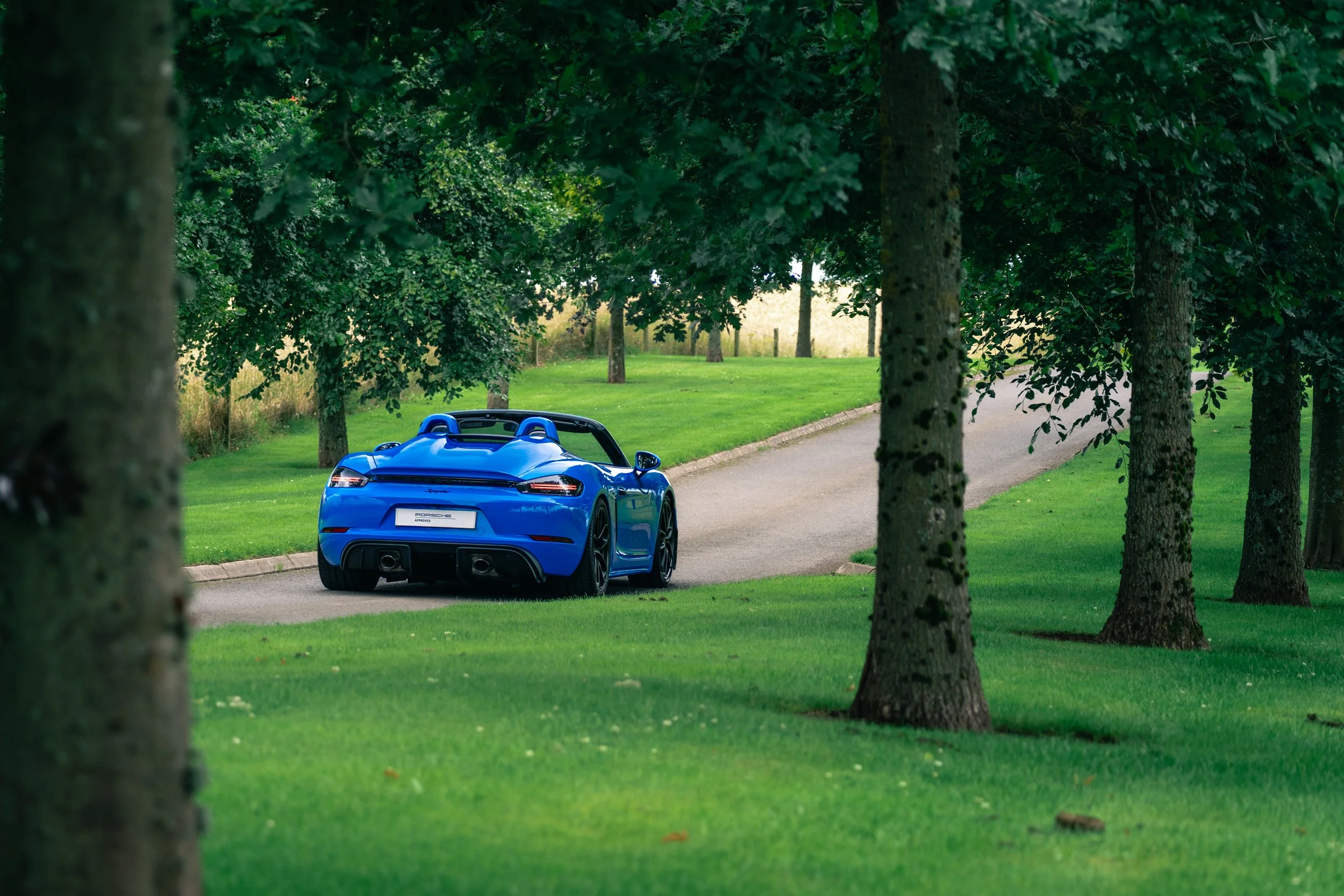 A bright blue sports car on a winding paved road surrounded by green grass and trees in a park-like setting.
