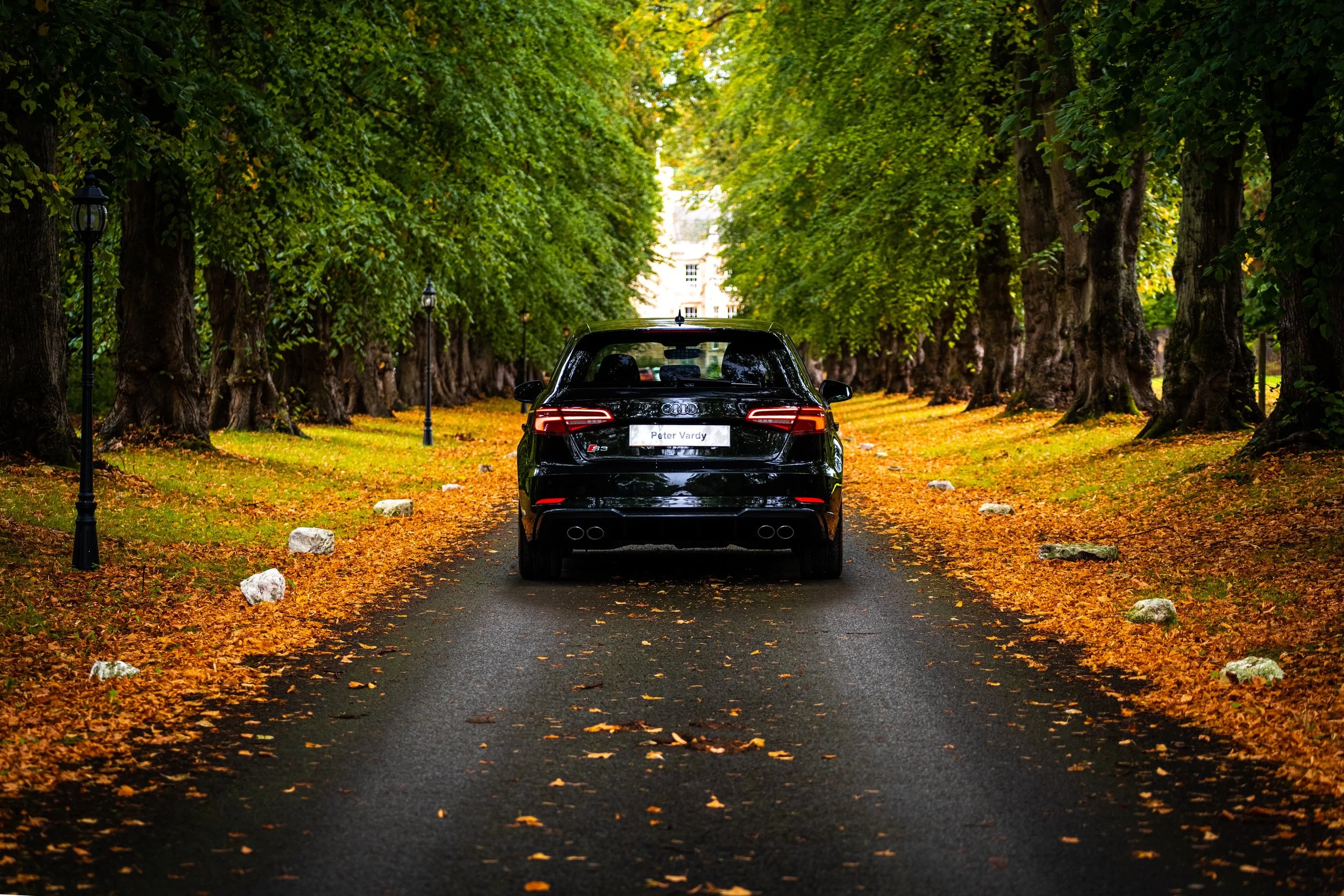 A black car parked on a tree-lined road with fallen autumn leaves on either side.