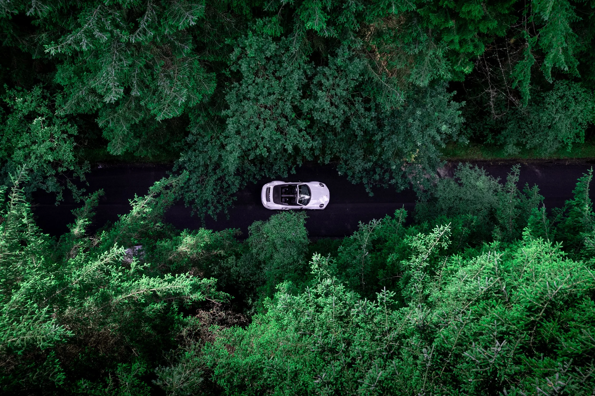 An aerial view of a white car on a narrow black asphalt road surrounded by dense green trees. Porsche 911.