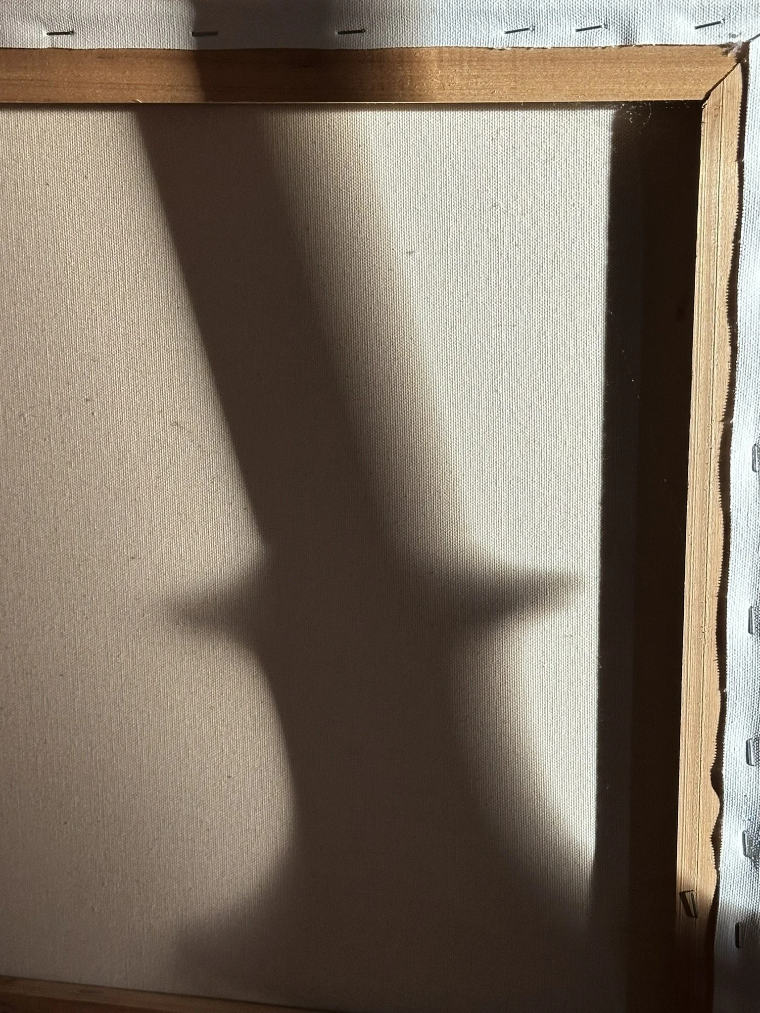 IMG_0013.JPEG