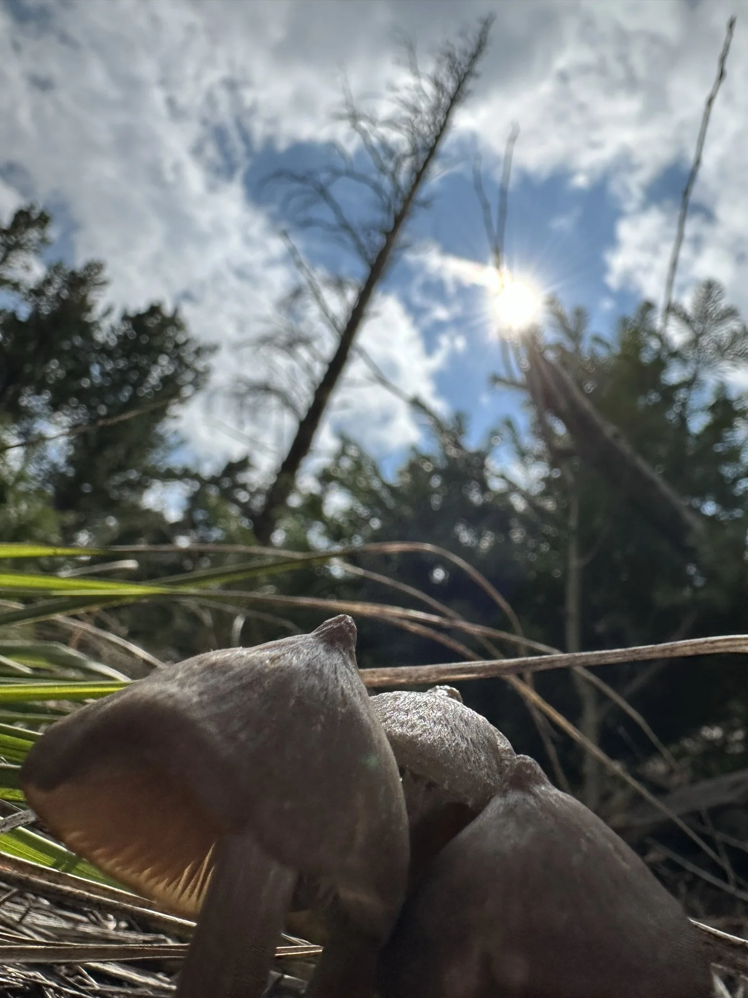 IMG_5838.JPEG