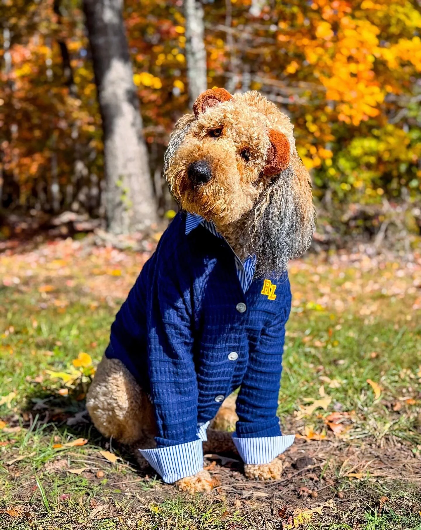 Just like the beloved bear that became a symbol of preppy sophistication and timeless Americana, our mascot, Chipper, dresses with quiet confidence and classic polish in this year&rsquo;s Halloween costume. His navy quilted cardigan, crisp striped cu