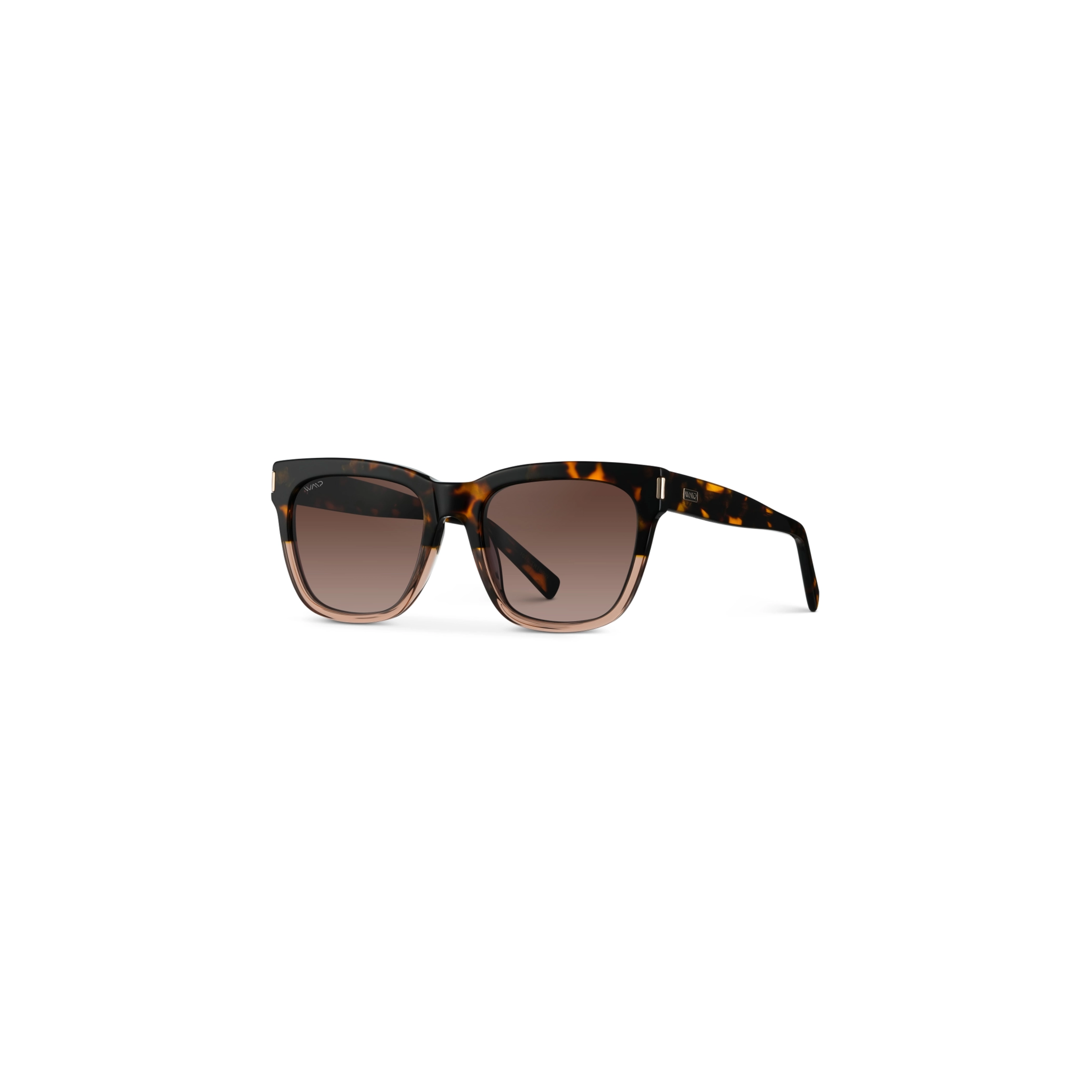Dakota Sunnies in Tortoise