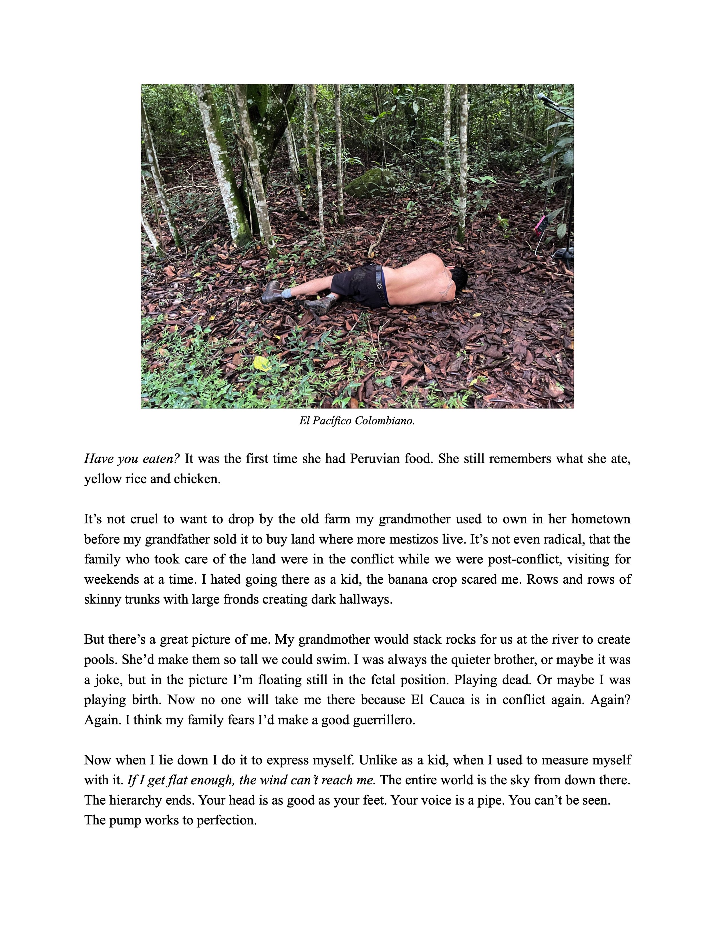 Subseedautopop_-_Acentos_Review_Submission 2_002.jpg