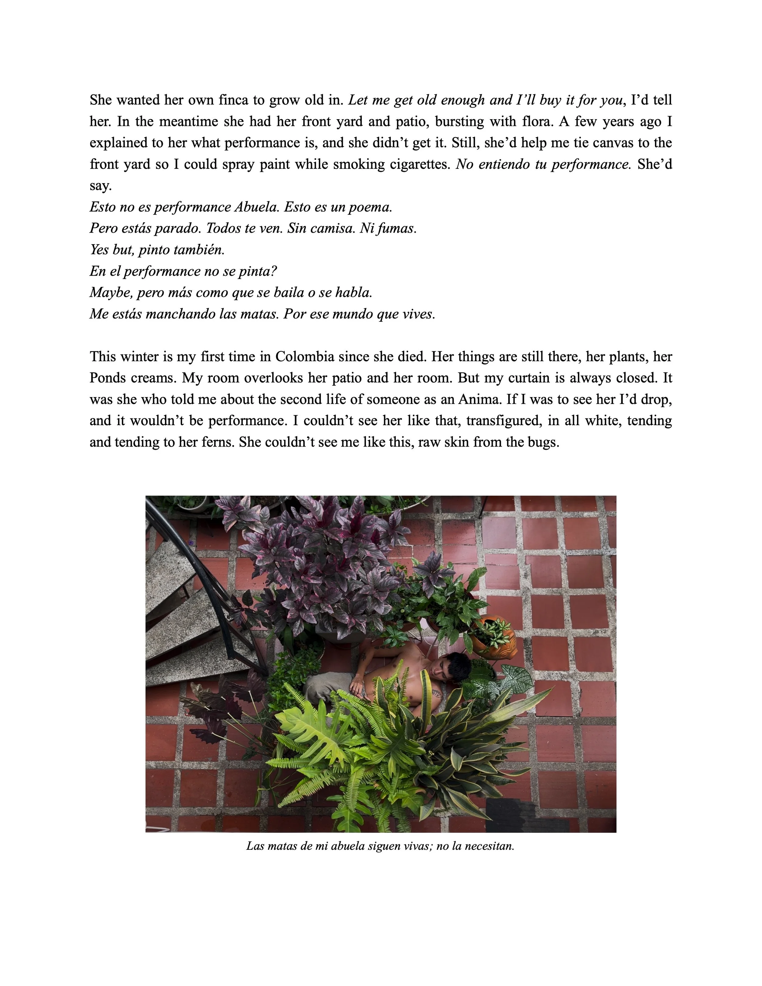 Subseedautopop_-_Acentos_Review_Submission 2_006.jpg