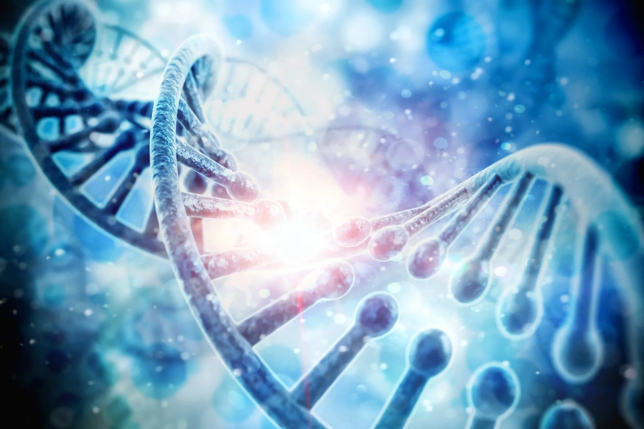 The Science of the Skin + Body + Mind Connection