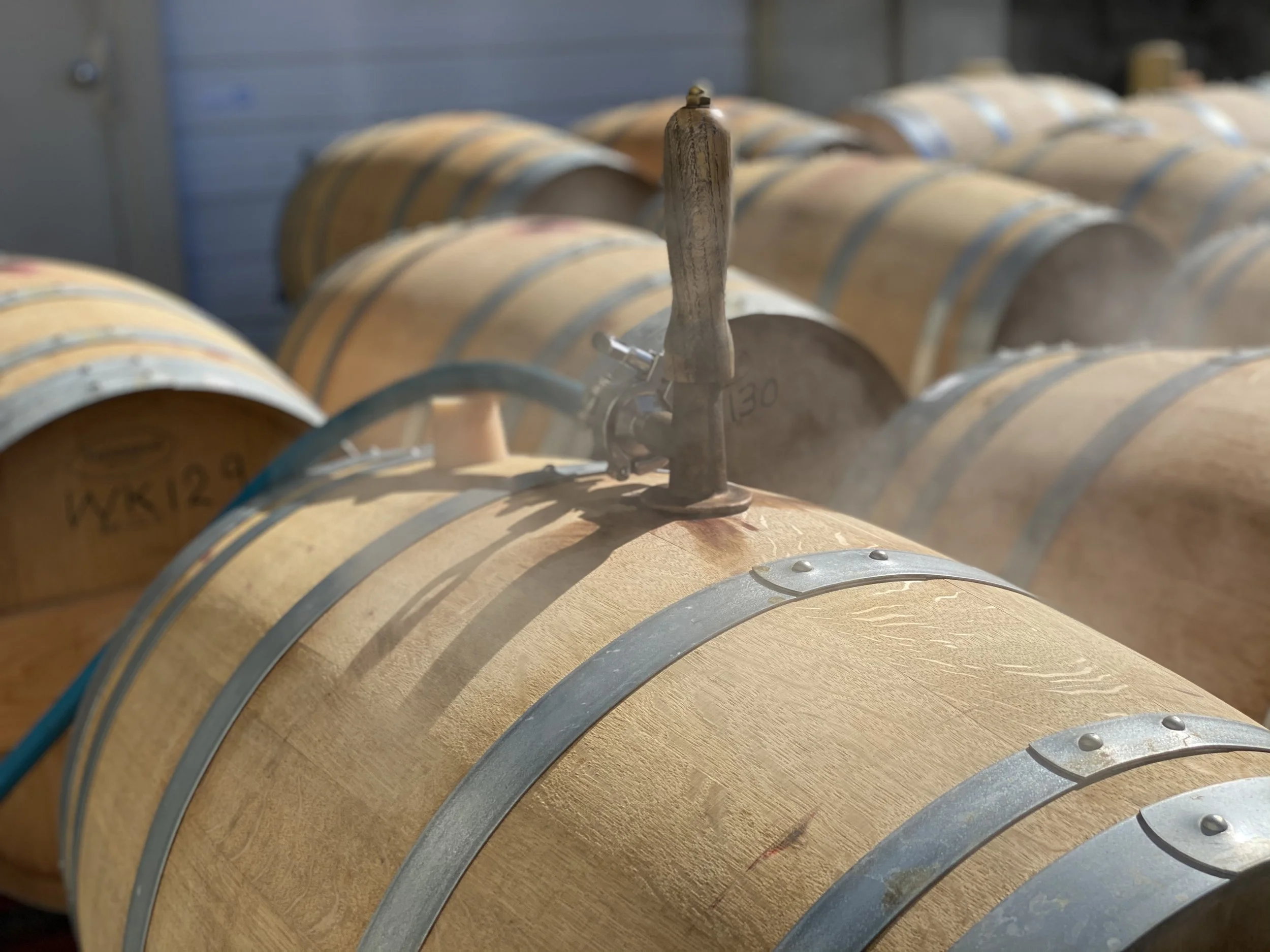 About Us — Momento Cellars