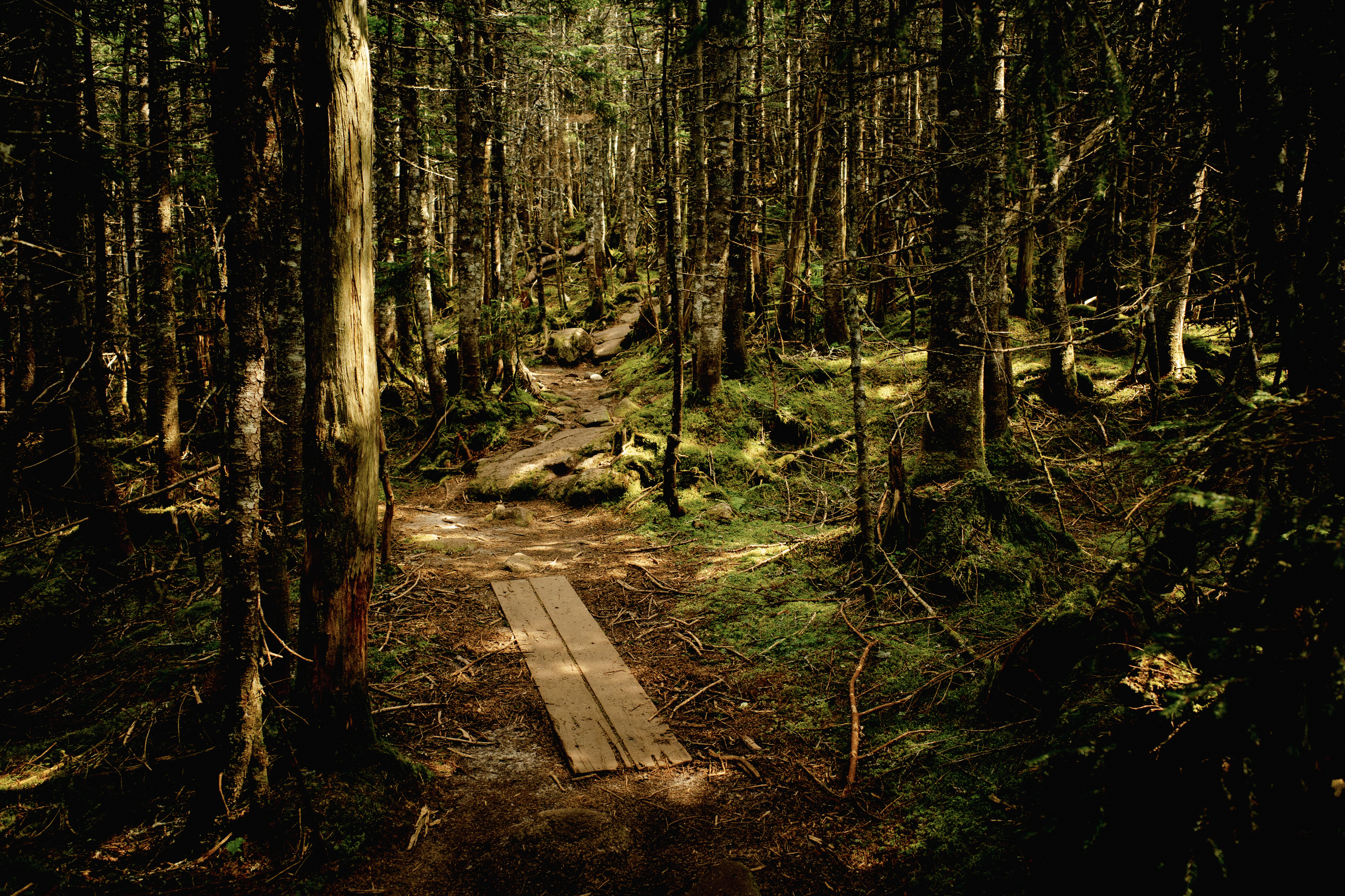 Screen Shot 2026-02-07 at 3.02.14 PM.png