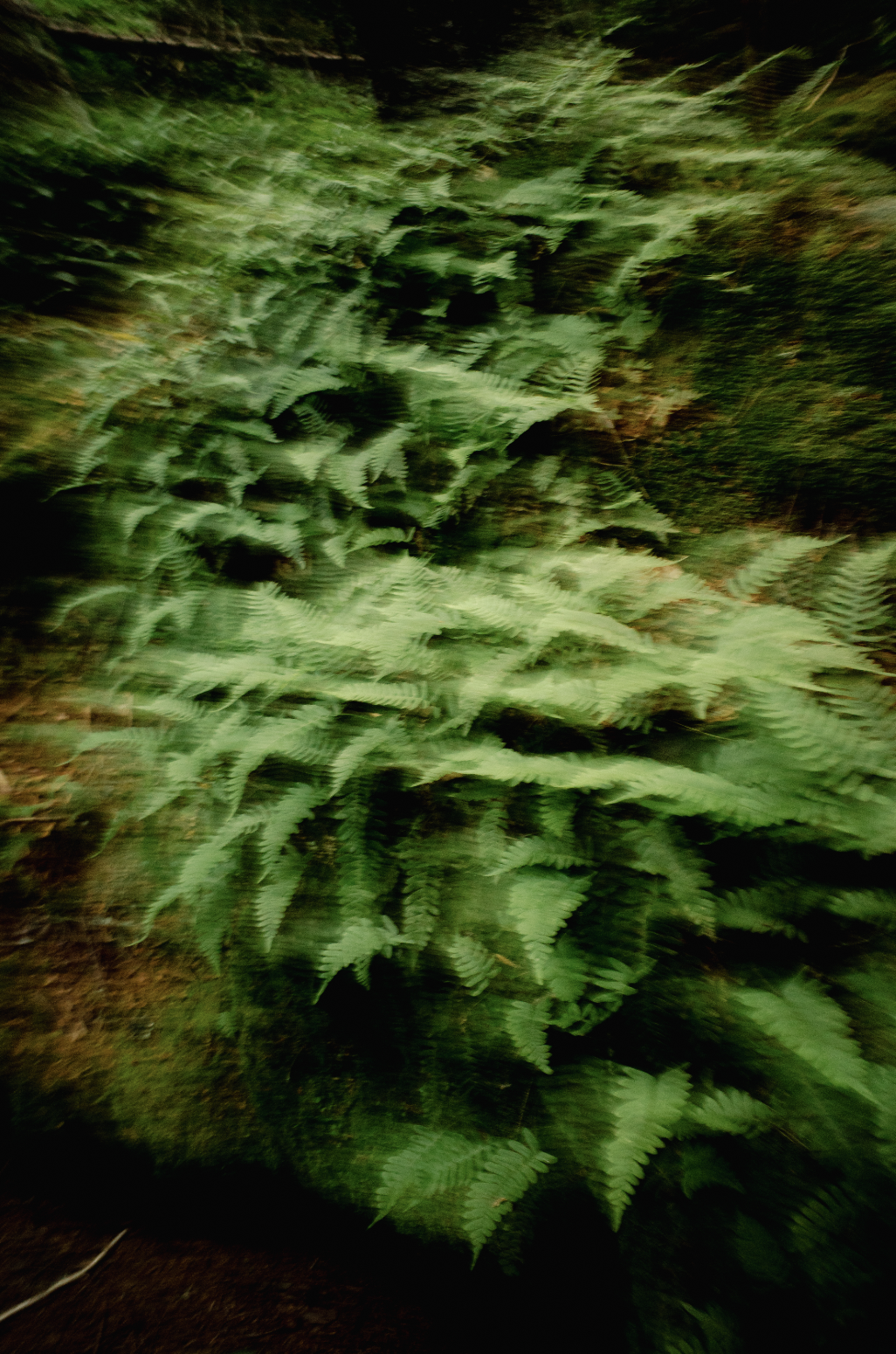 Screen Shot 2026-02-07 at 3.02.40 PM.png