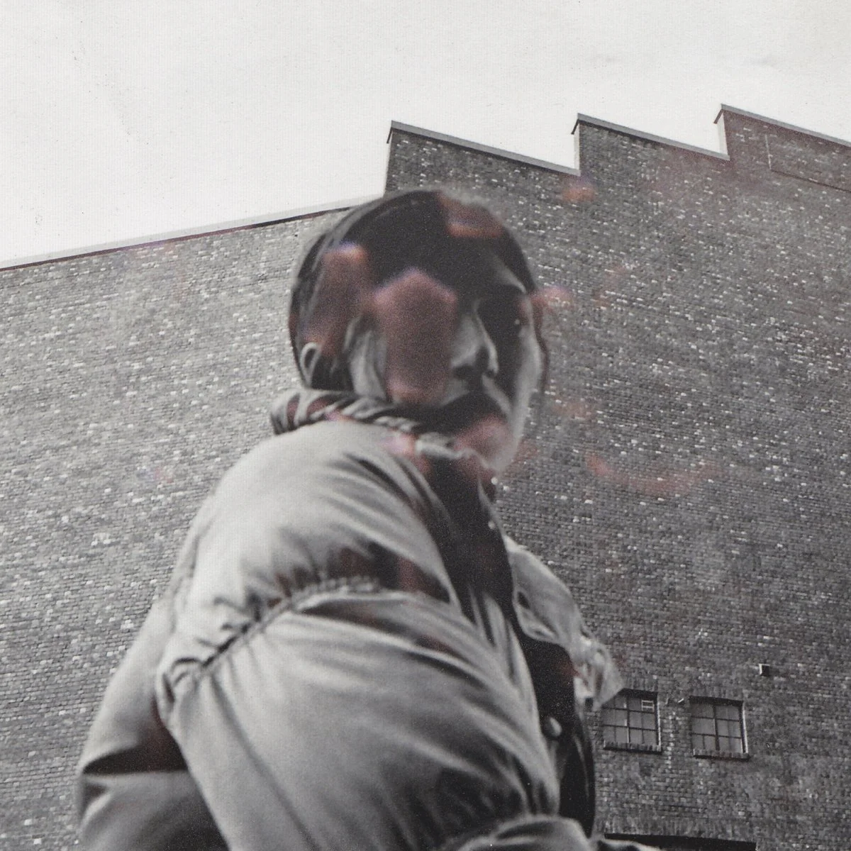 Aldous Harding's Warm Chris is widely praised as an alluring, quirky, and intimate album, showcasing her unique vocal shapeshifting and surreal, often humorous, songwriting. Critics note its stark, piano-driven simplicity and playful experimentation,