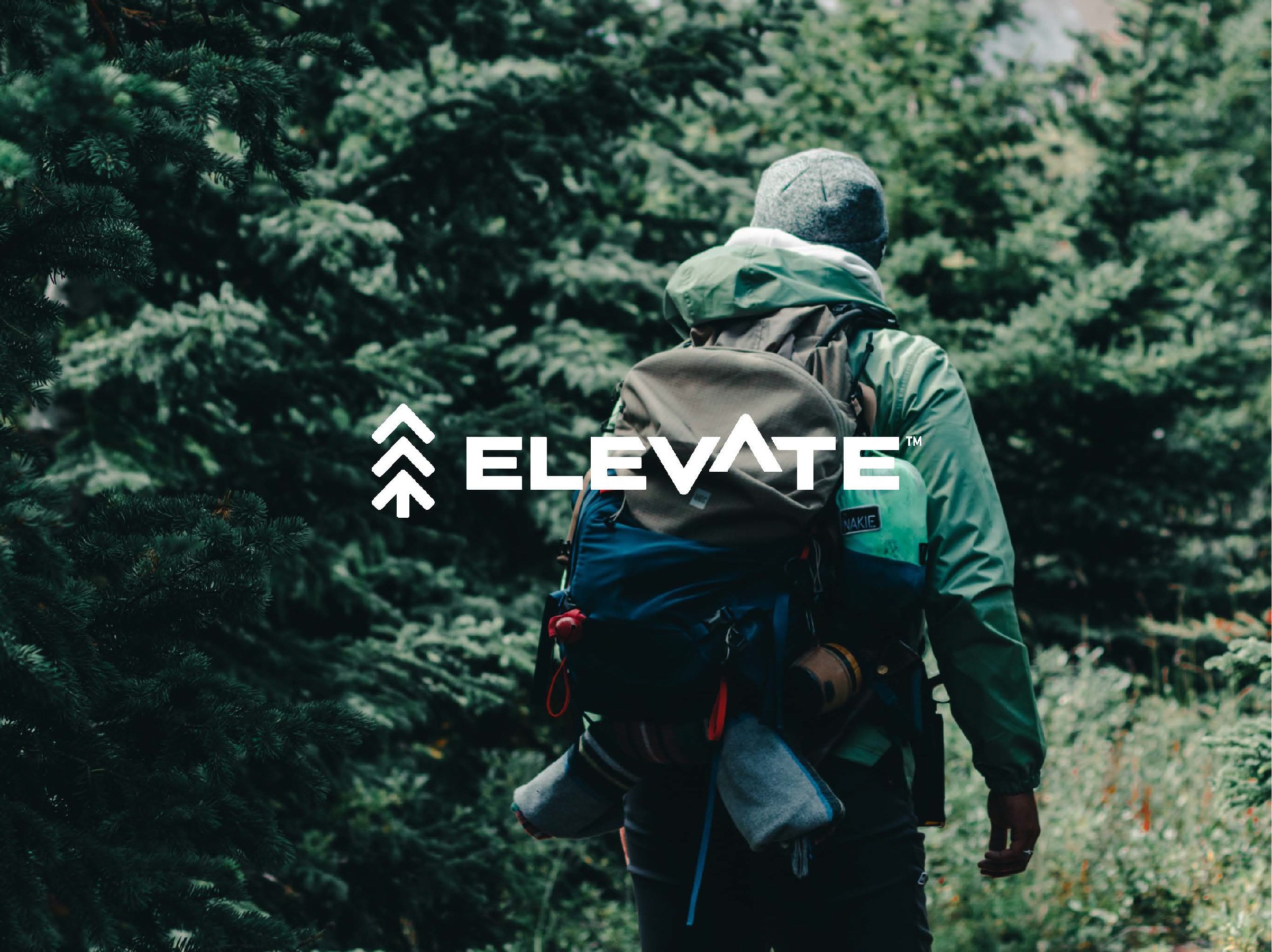 Elevate_content-01.jpg