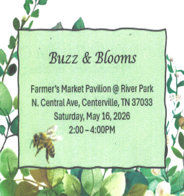 Buzz & Blooms 