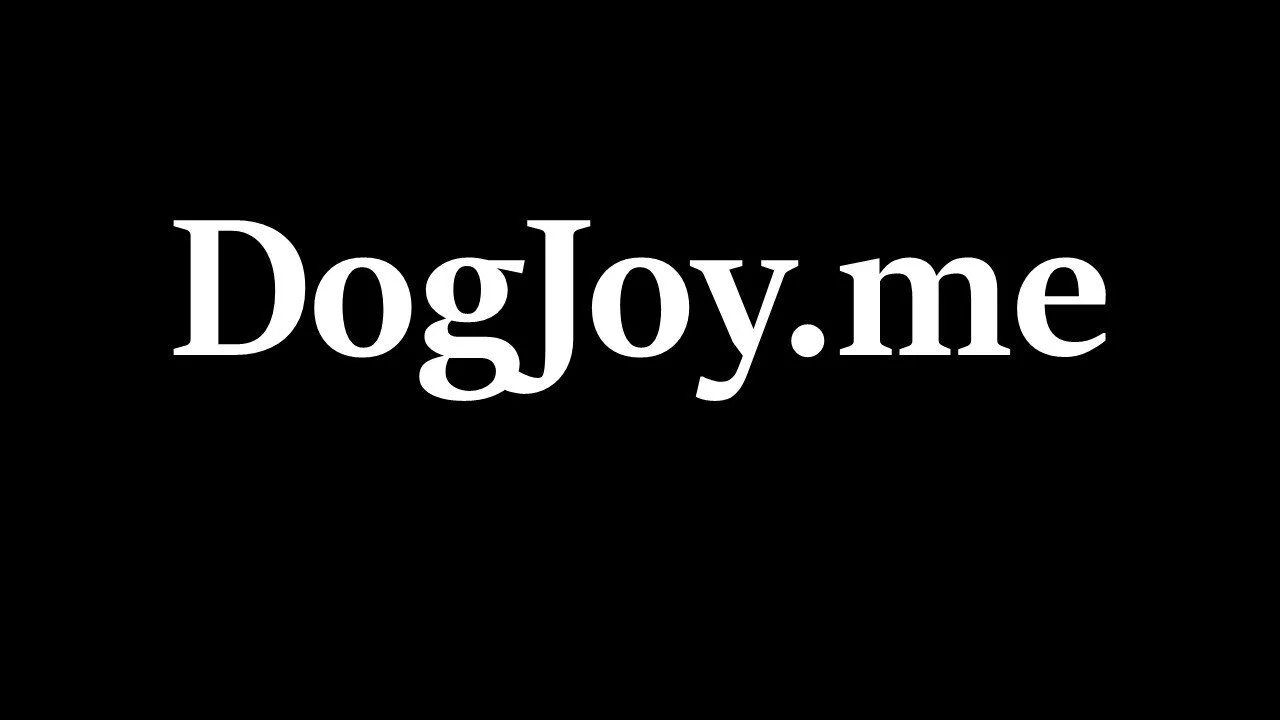 ce09fa47-098d-4b10-8549-9cc09ab7a318-0-2logo-DogJoyLogoWhiteNew-3ea424.jpg