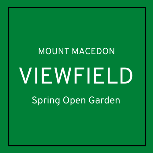 Viewfield logo Full colour.png