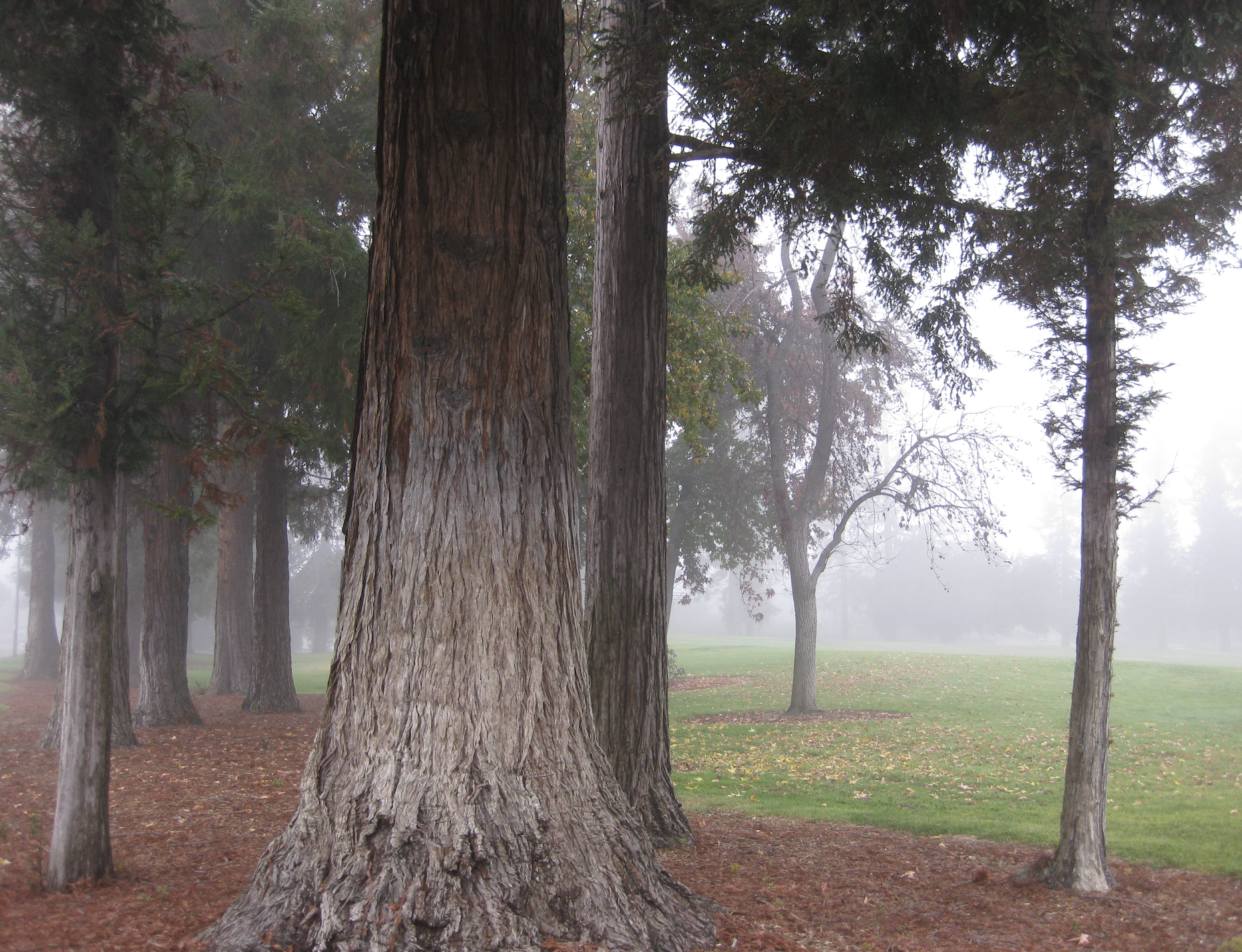 Screen Shot 2022-07-22 at 7.52.34 PM.png