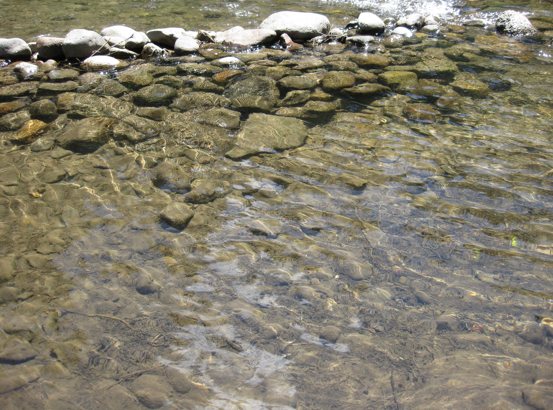 Screen Shot 2022-07-22 at 7.02.03 PM.png