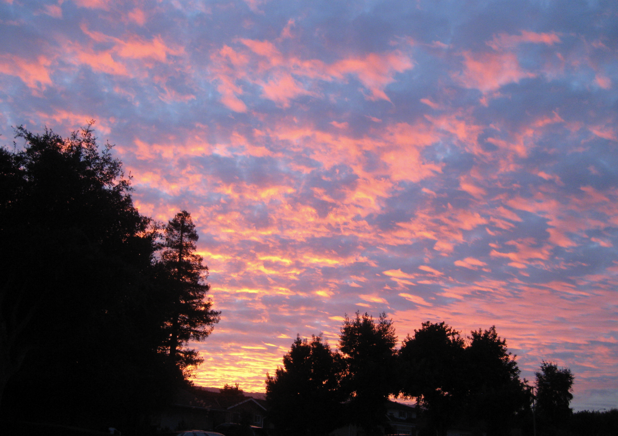 Screen Shot 2022-07-22 at 7.01.18 PM.png